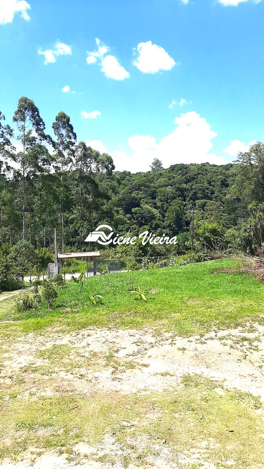 Chácara, 3 quartos, 2500 m² - Foto 3