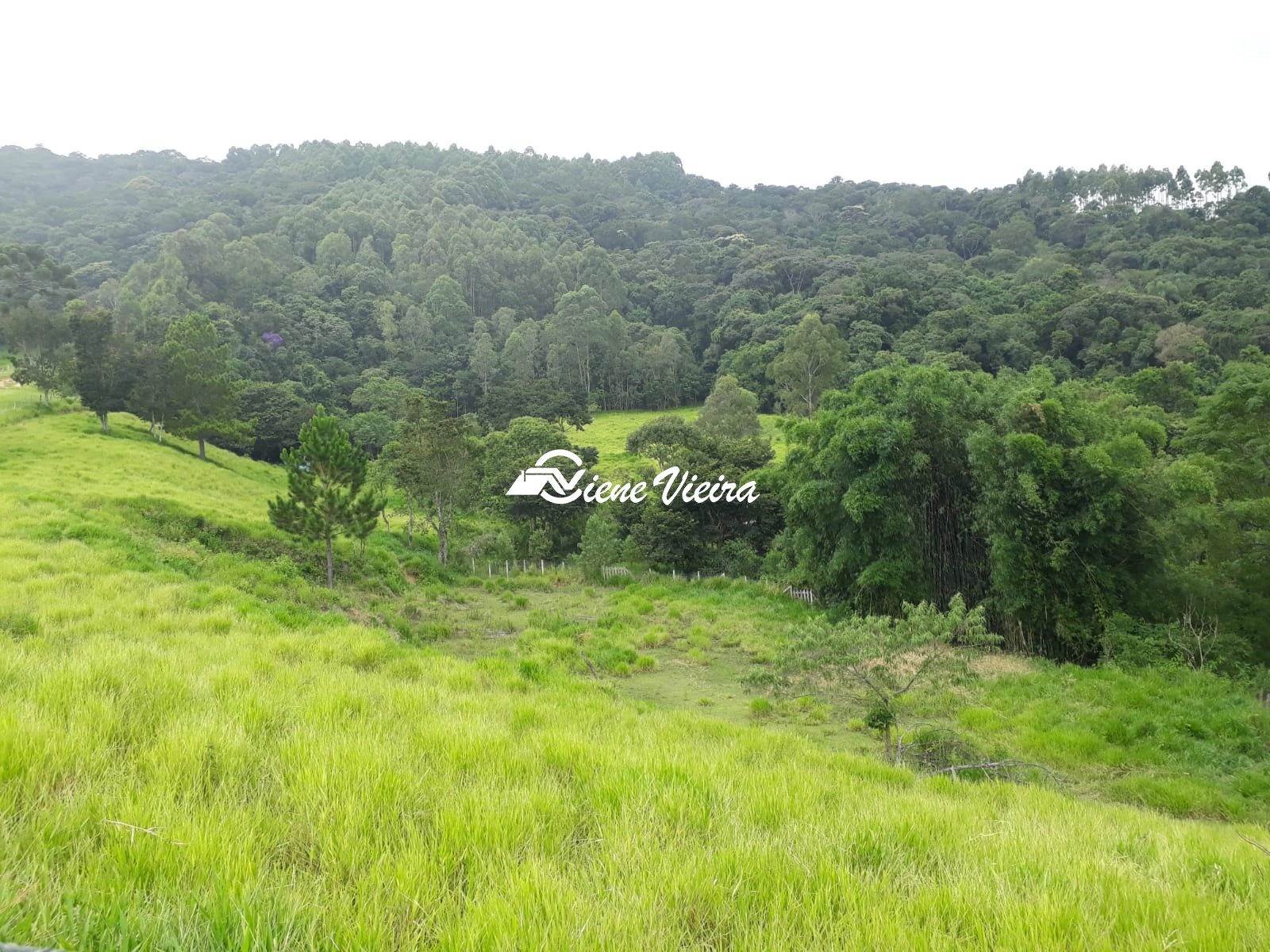 Sítio, 3 quartos, 8 hectares - Foto 16