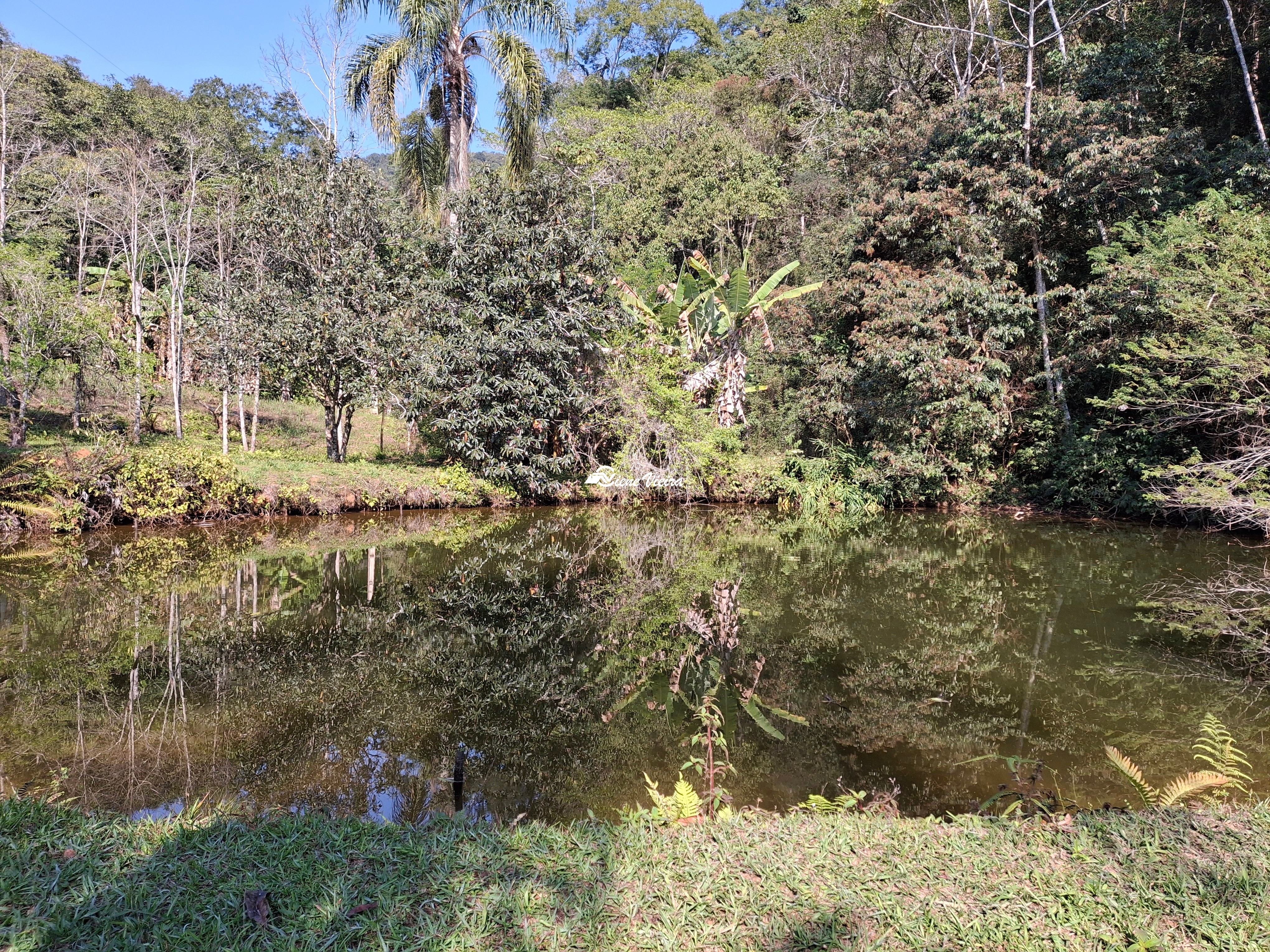 Chácara, 3 quartos, 2 hectares - Foto 45