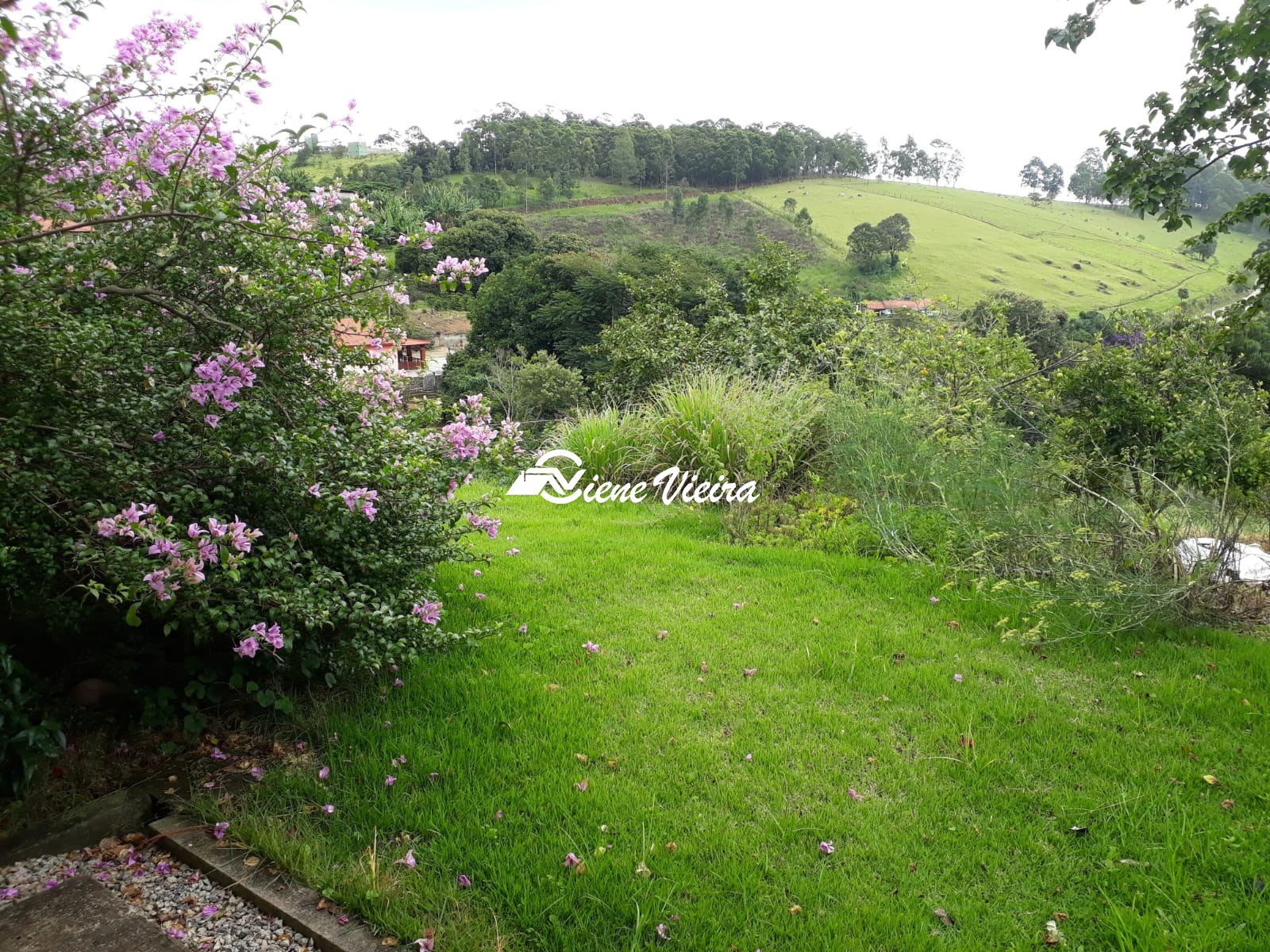 Sítio, 3 quartos, 8 hectares - Foto 18
