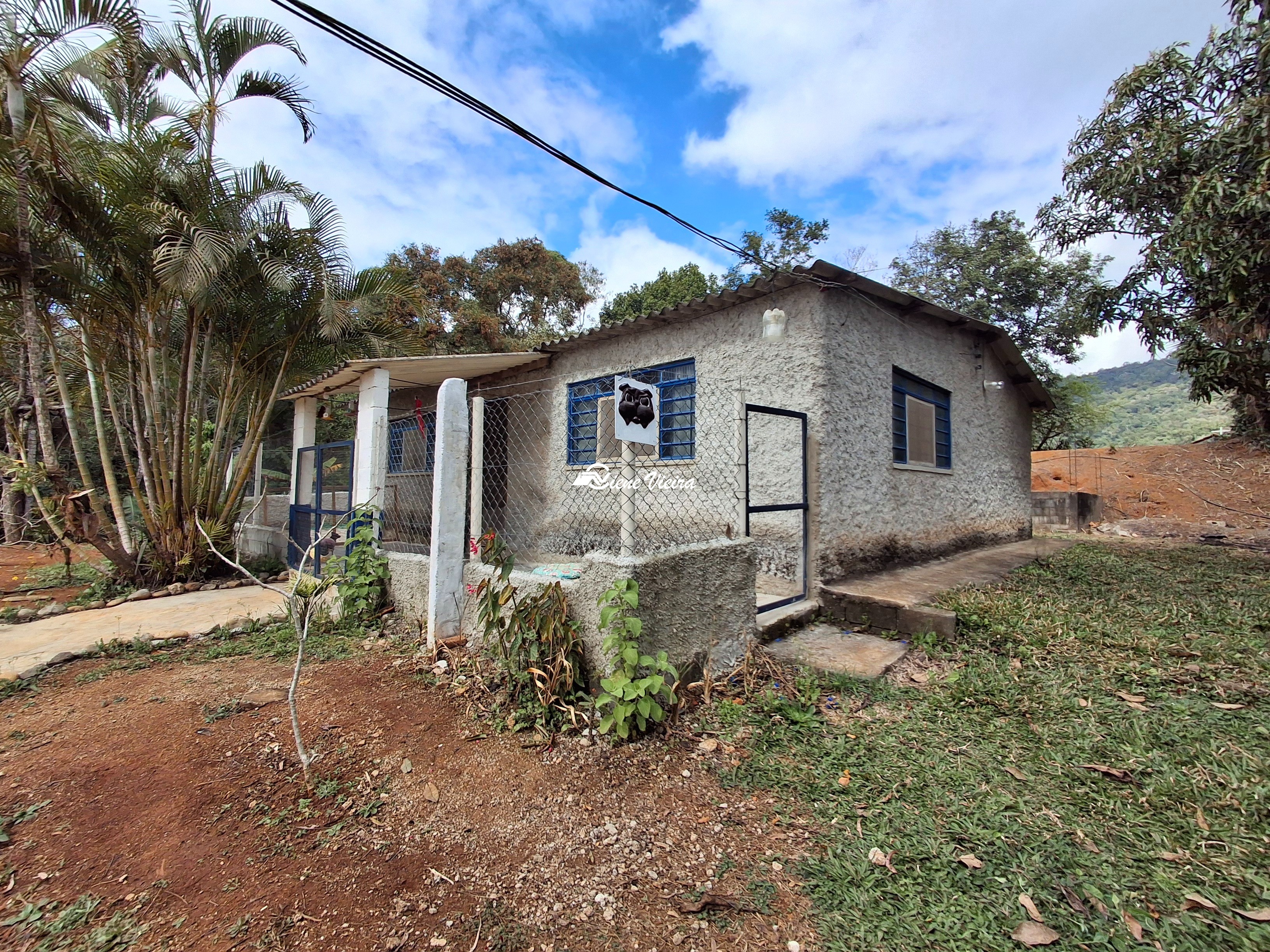 Chácara, 3 quartos, 6000 m² - Foto 5