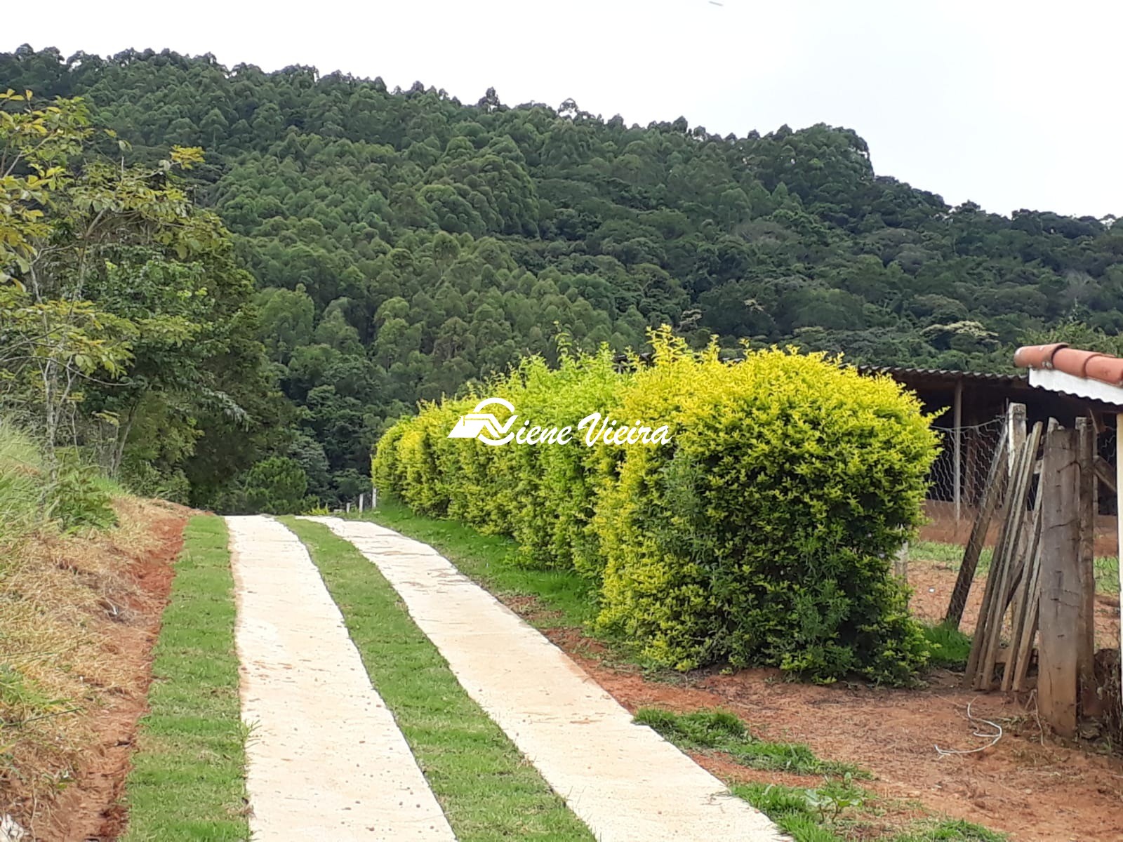 Sítio, 3 quartos, 8 hectares - Foto 25