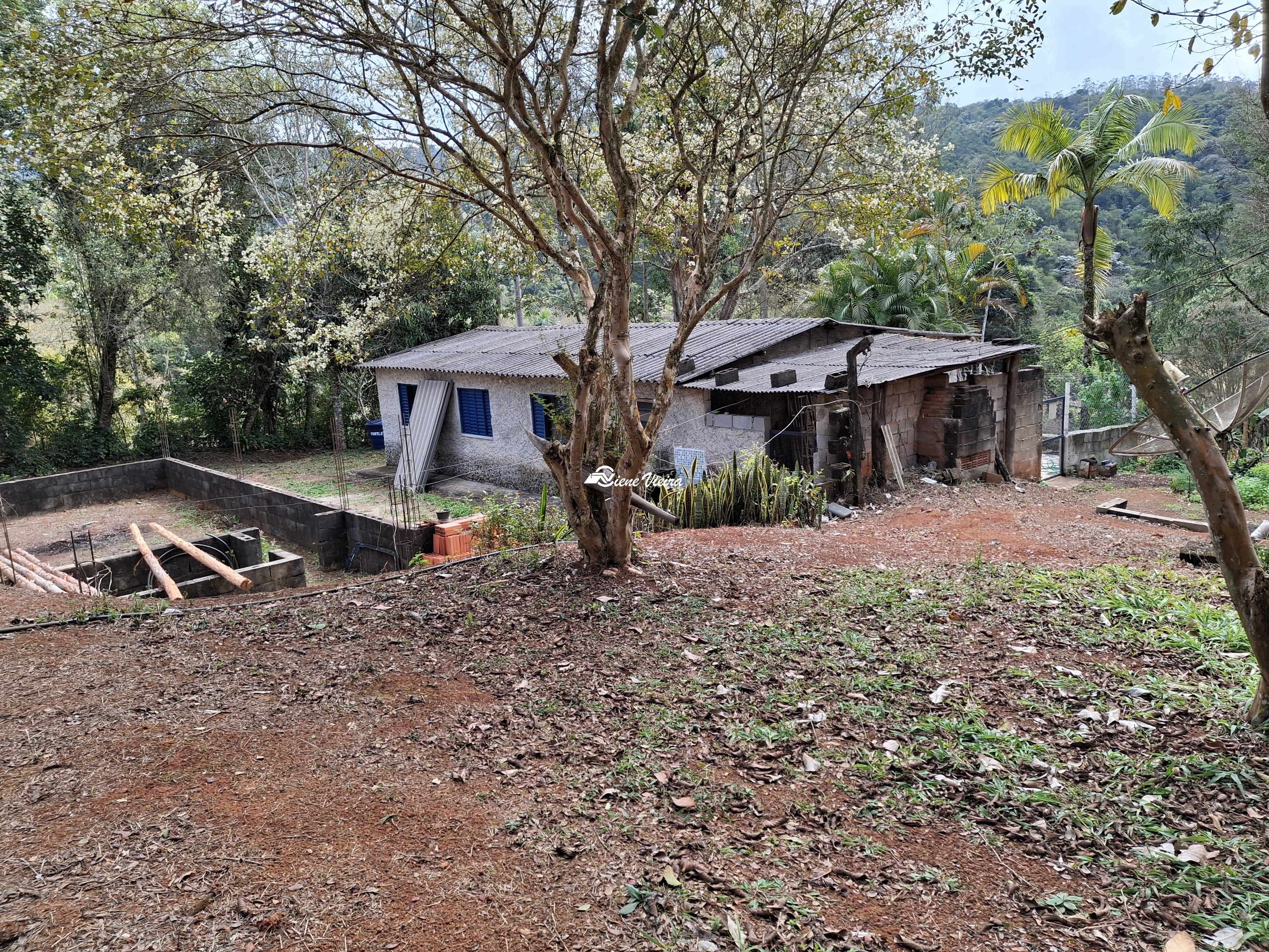 Chácara, 3 quartos, 6000 m² - Foto 4