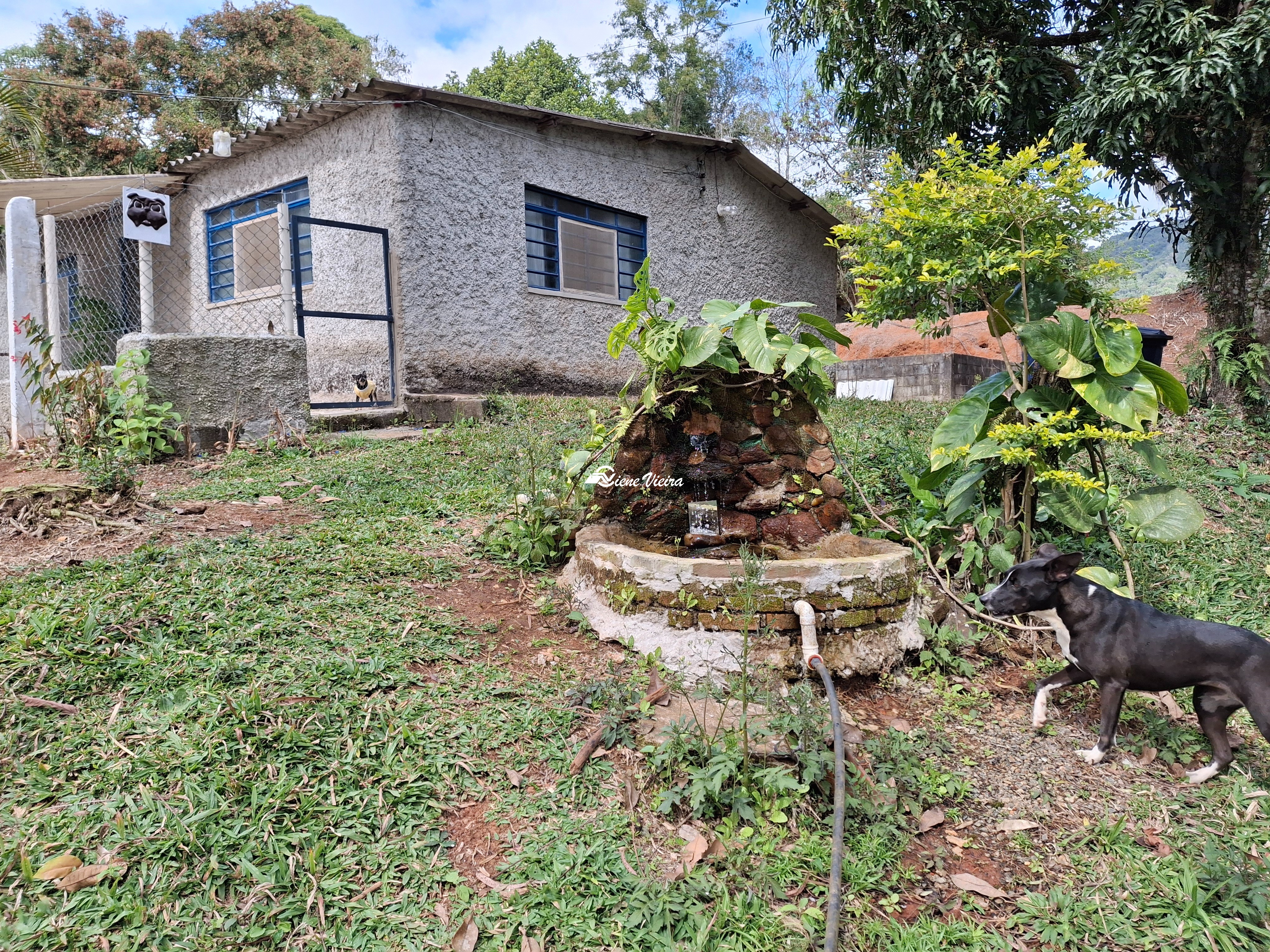 Chácara, 3 quartos, 6000 m² - Foto 25