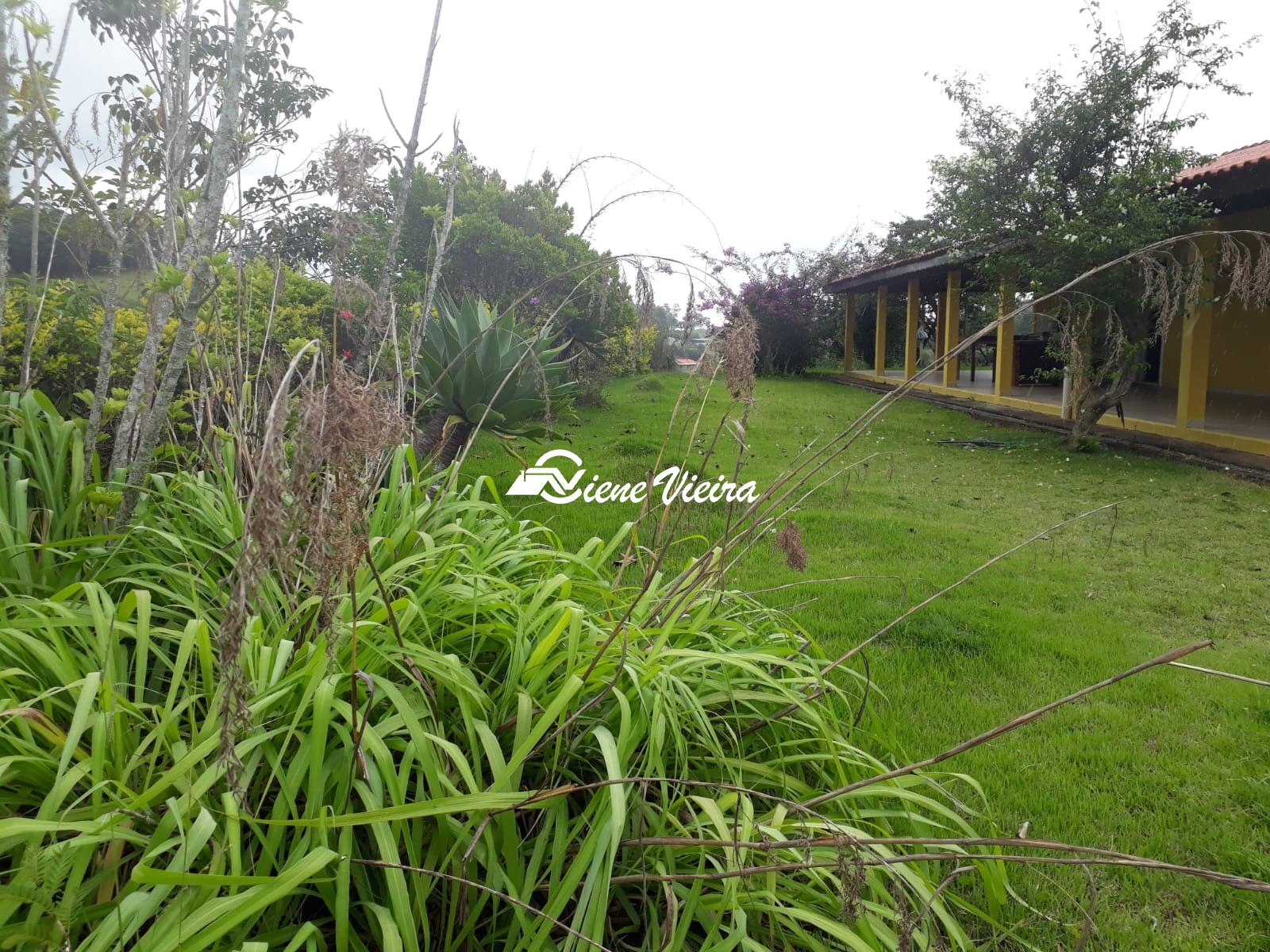 Sítio, 3 quartos, 8 hectares - Foto 14