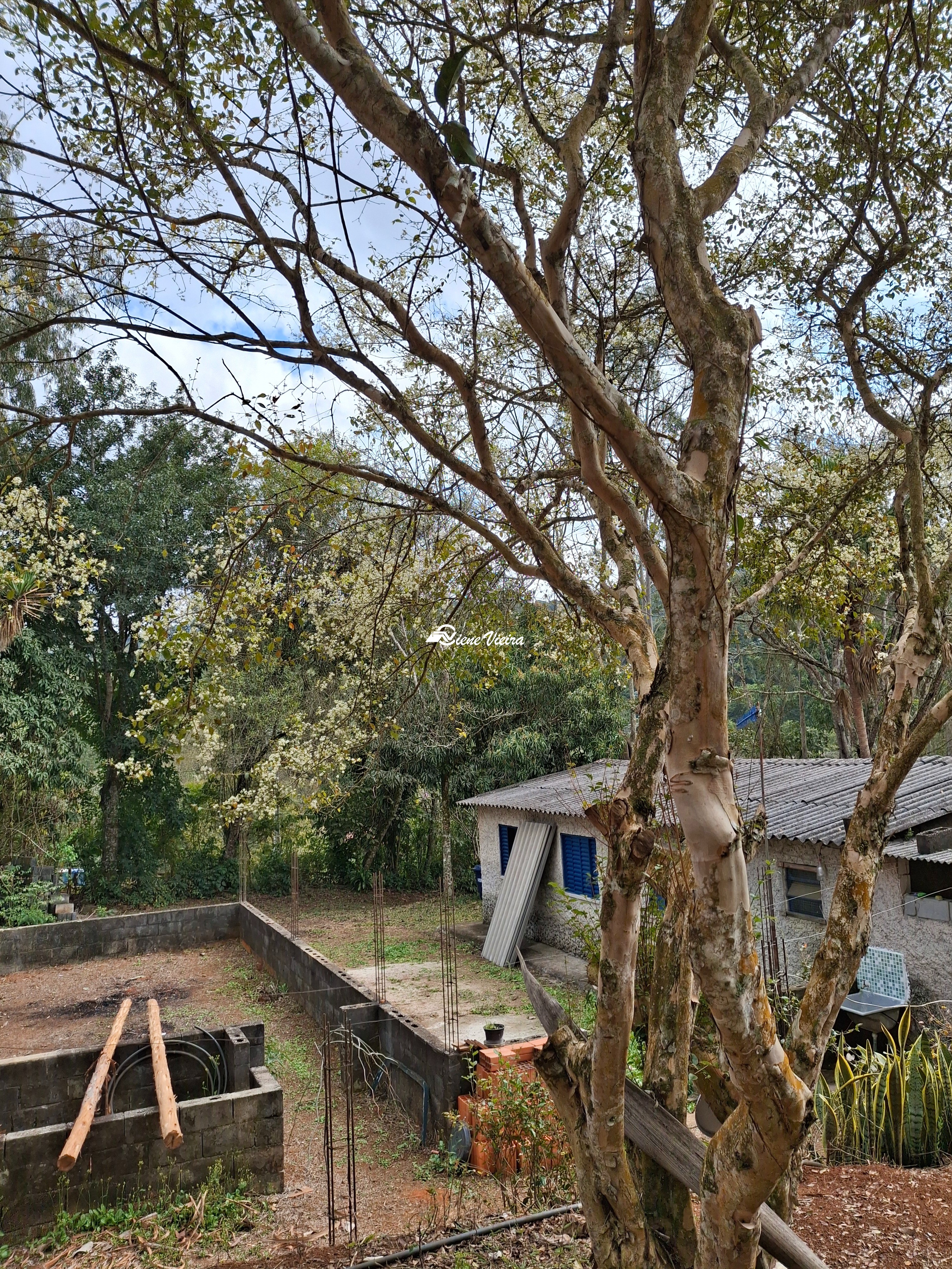Chácara, 3 quartos, 6000 m² - Foto 8