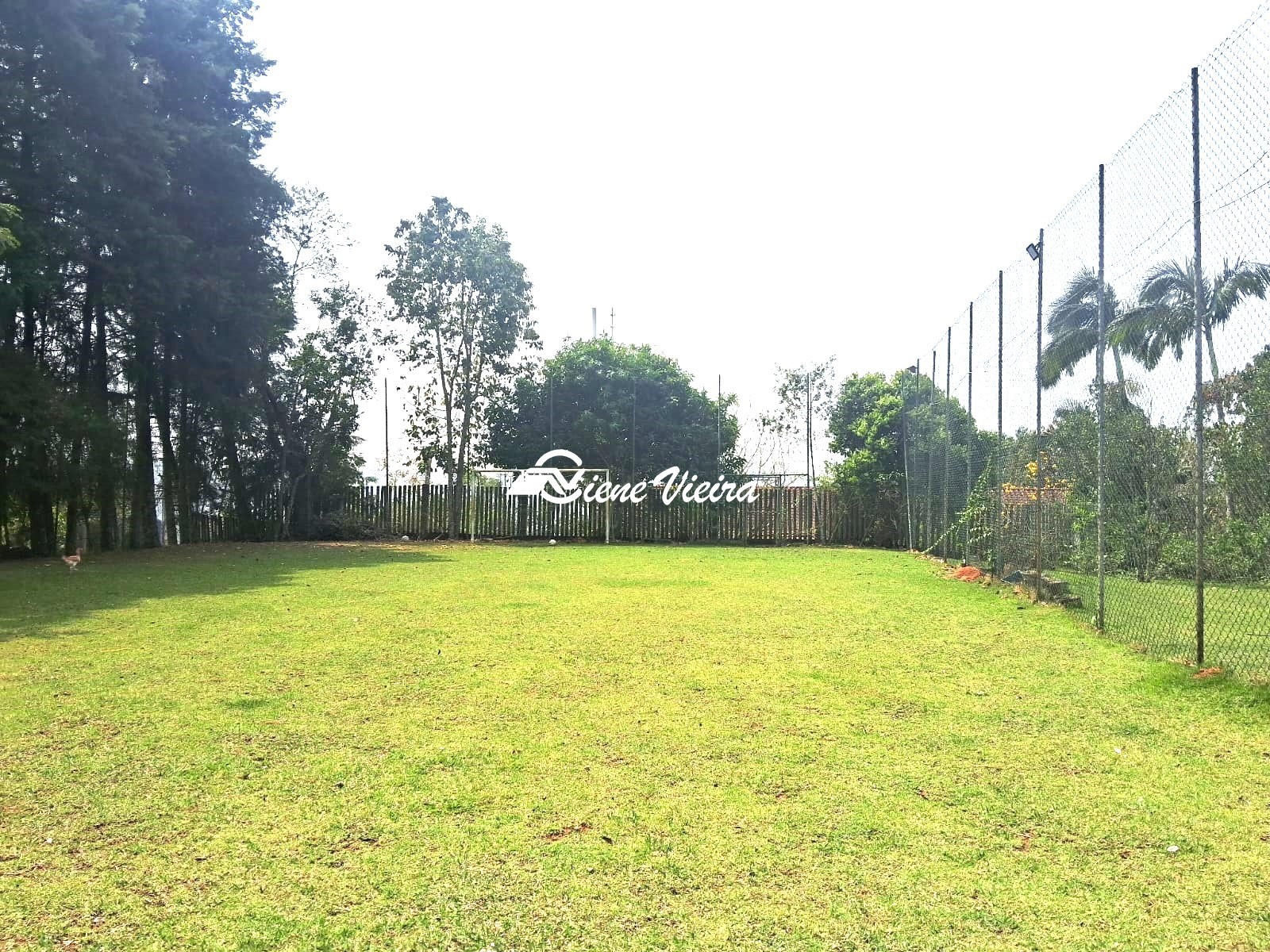 Chácara, 4 quartos, 4000 m² - Foto 15