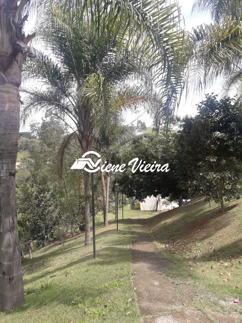 Chácara, 3 quartos, 5500 m² - Foto 10