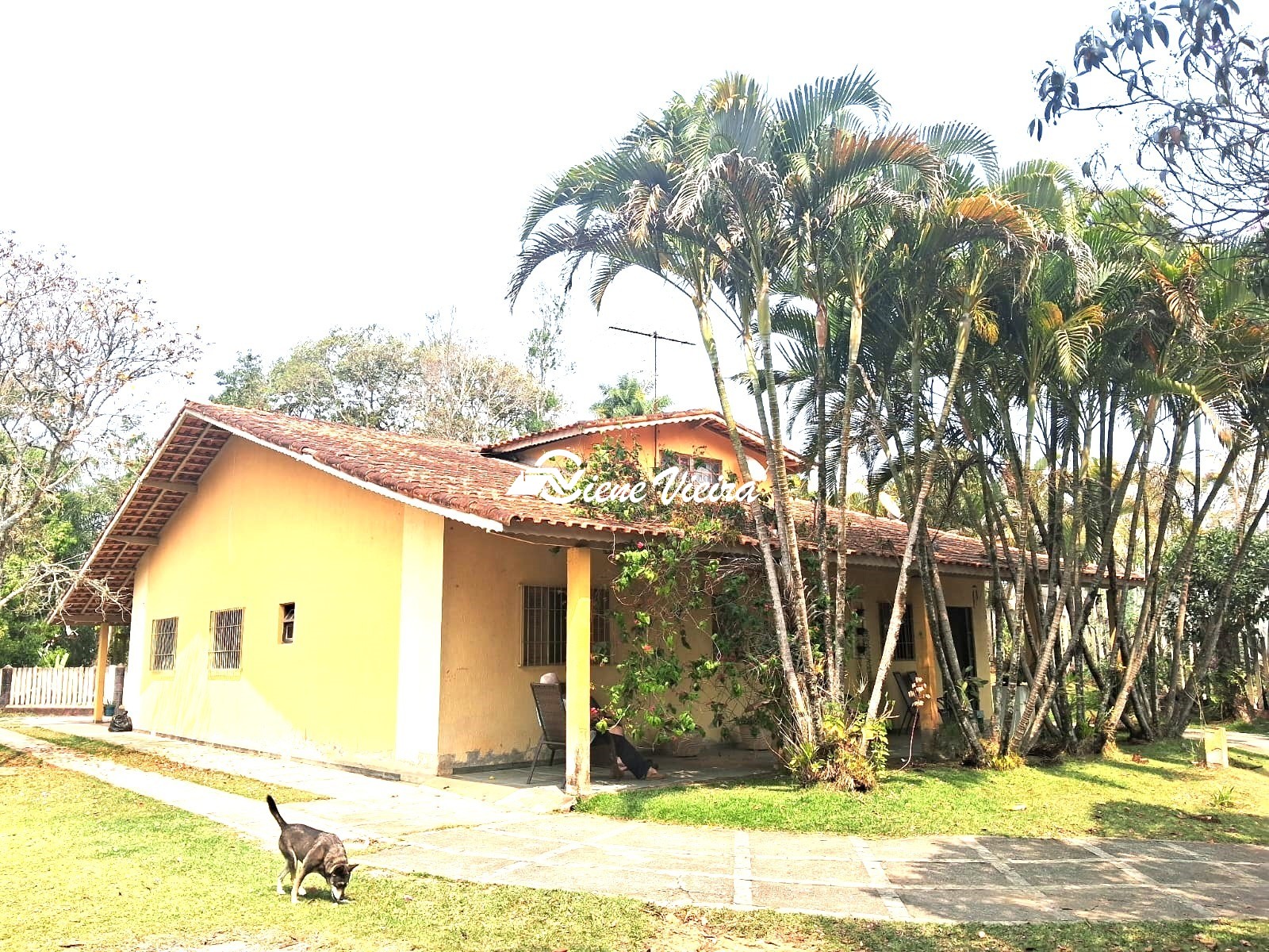 Chácara, 4 quartos, 4000 m² - Foto 1