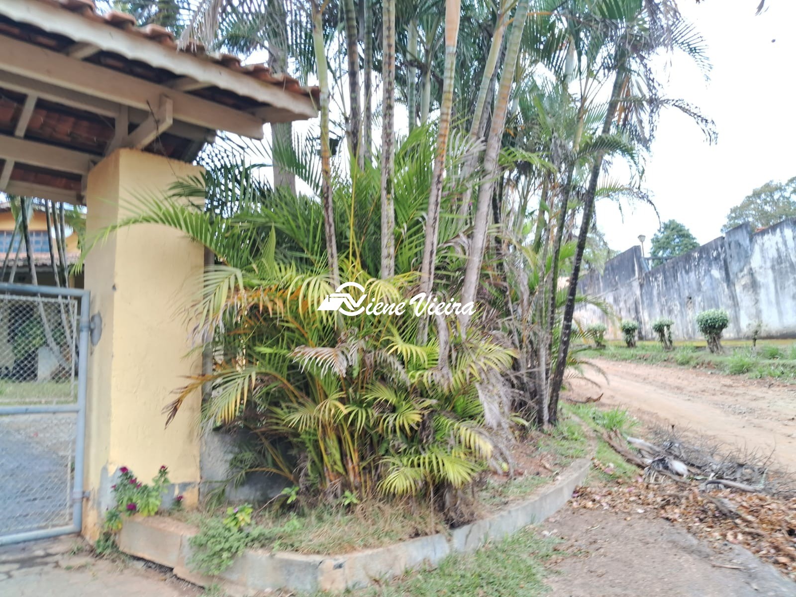 Chácara, 4 quartos, 4000 m² - Foto 10