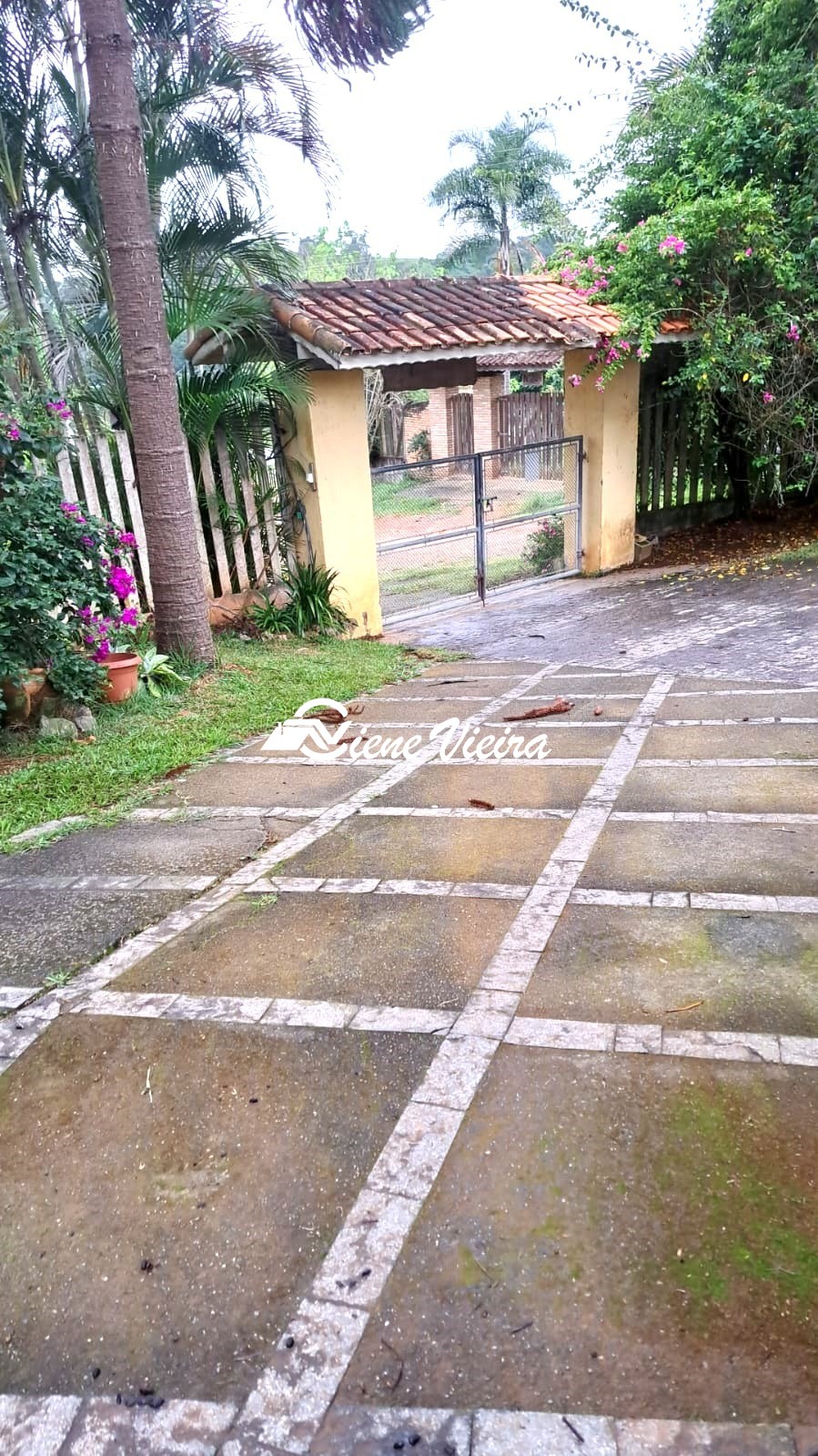 Chácara, 4 quartos, 4000 m² - Foto 11