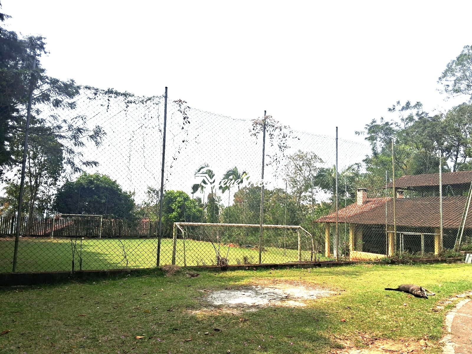 Chácara, 4 quartos, 4000 m² - Foto 16