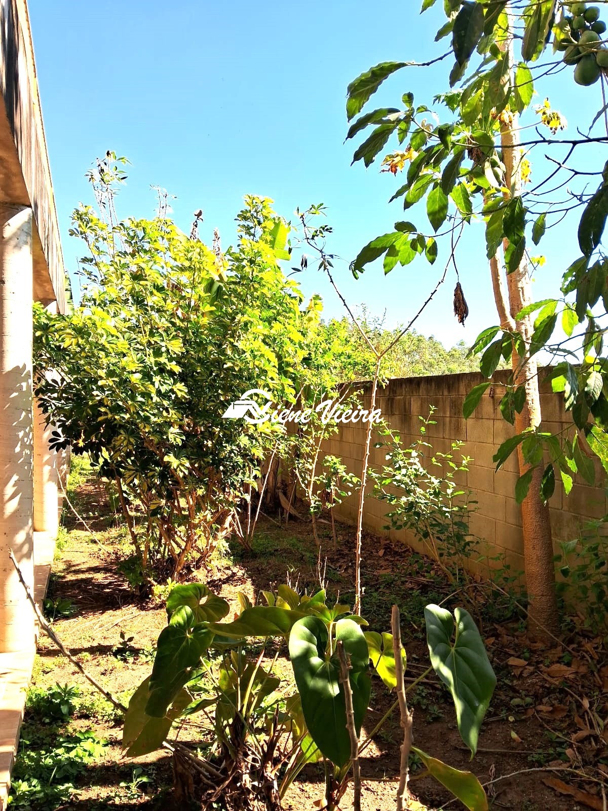 Chácara, 6 quartos, 1700 m² - Foto 10