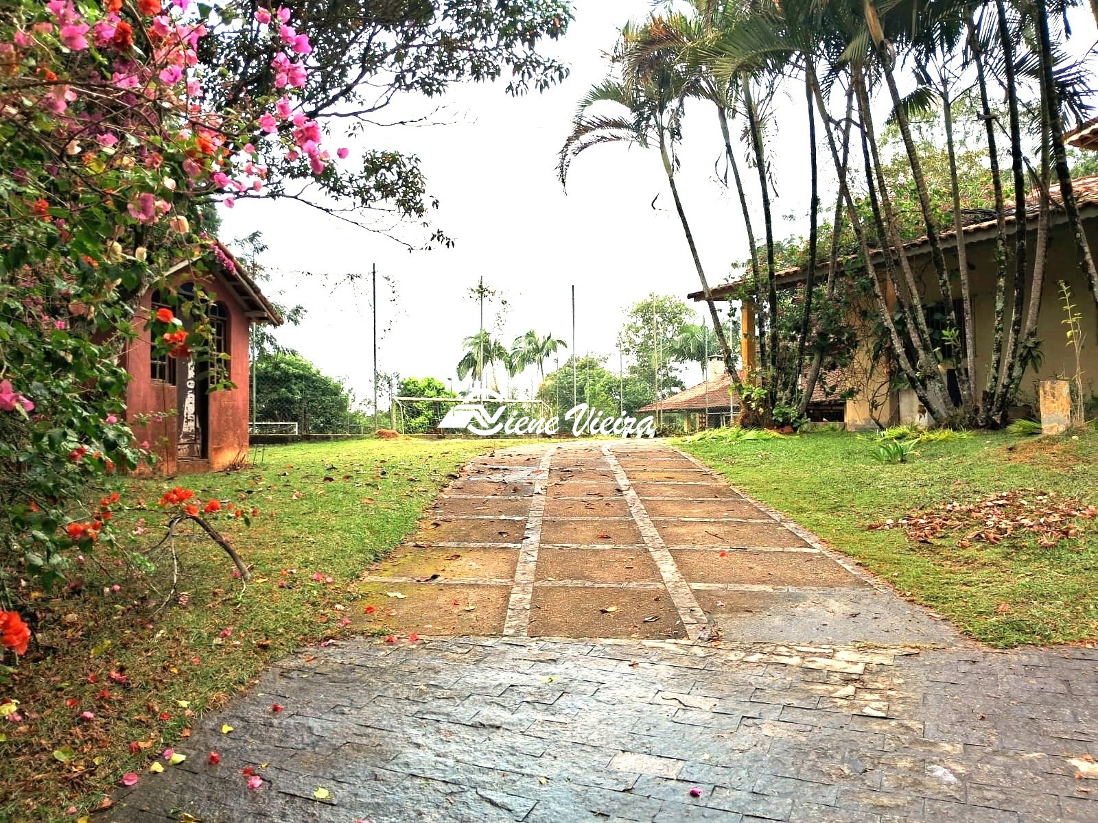 Chácara, 4 quartos, 4000 m² - Foto 12
