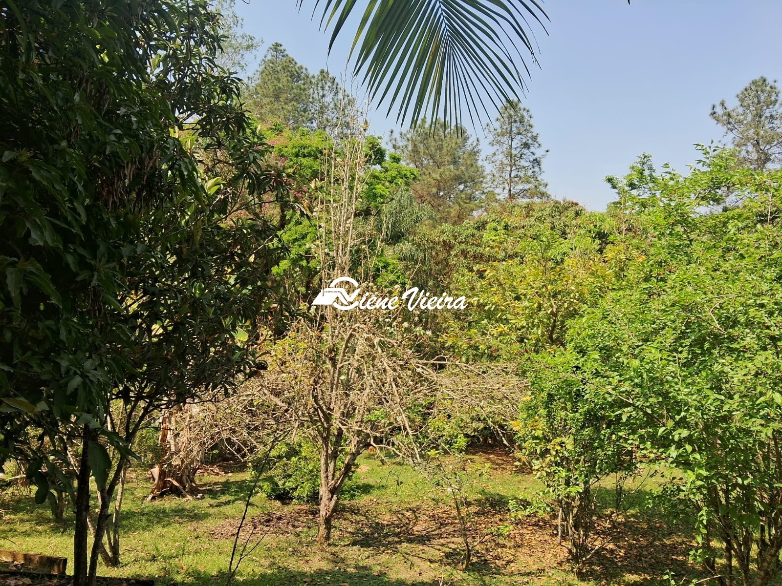 Chácara, 2 quartos, 1280 m² - Foto 18