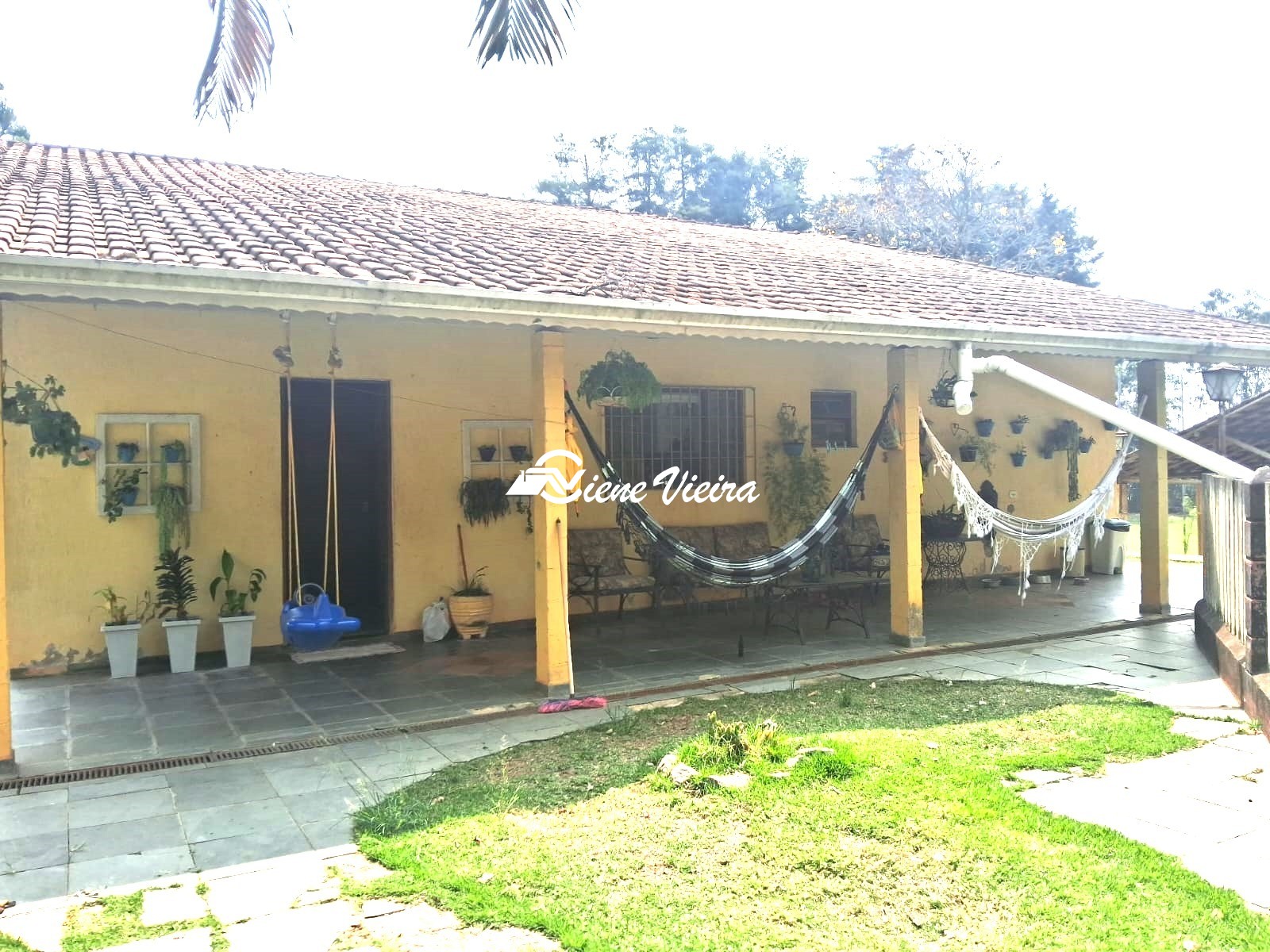 Chácara, 4 quartos, 4000 m² - Foto 4