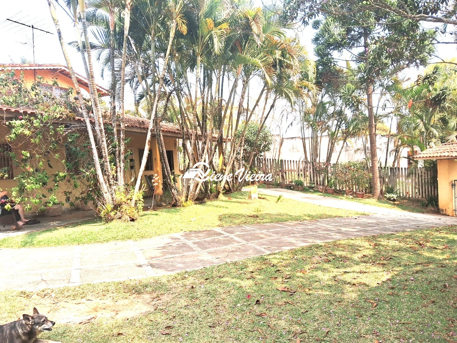 Chácara, 4 quartos, 4000 m² - Foto 18