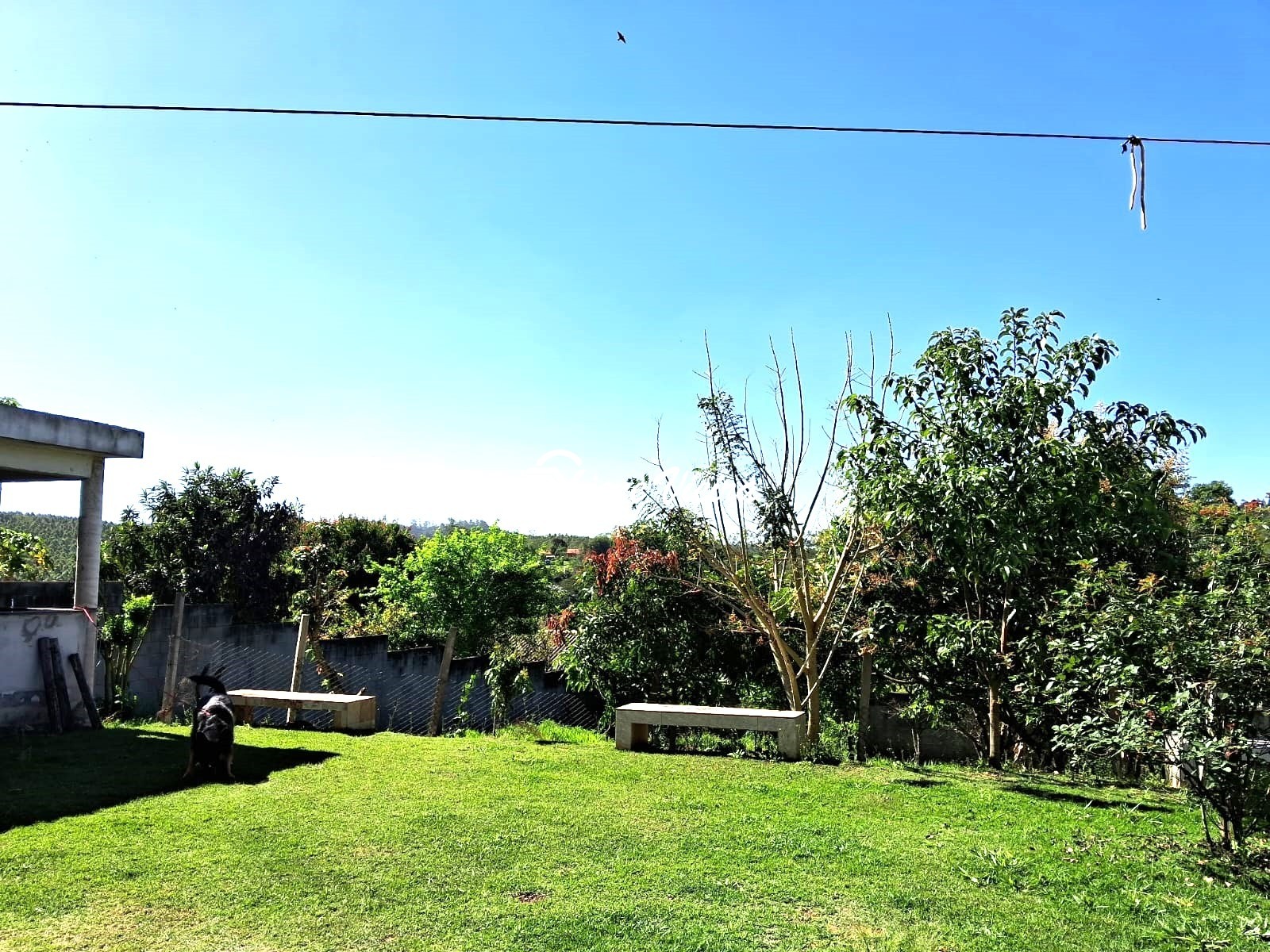 Chácara, 6 quartos, 1700 m² - Foto 11
