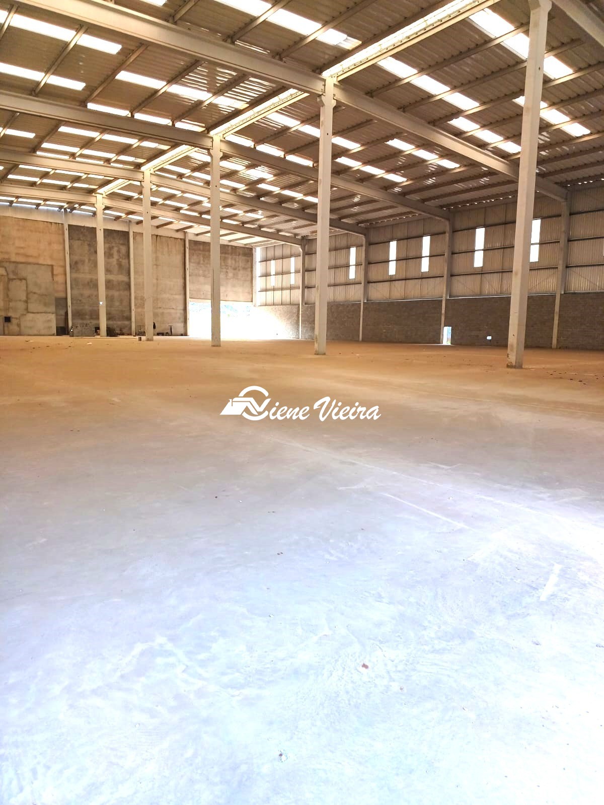 Depósito-Galpão, 5000 m² - Foto 3