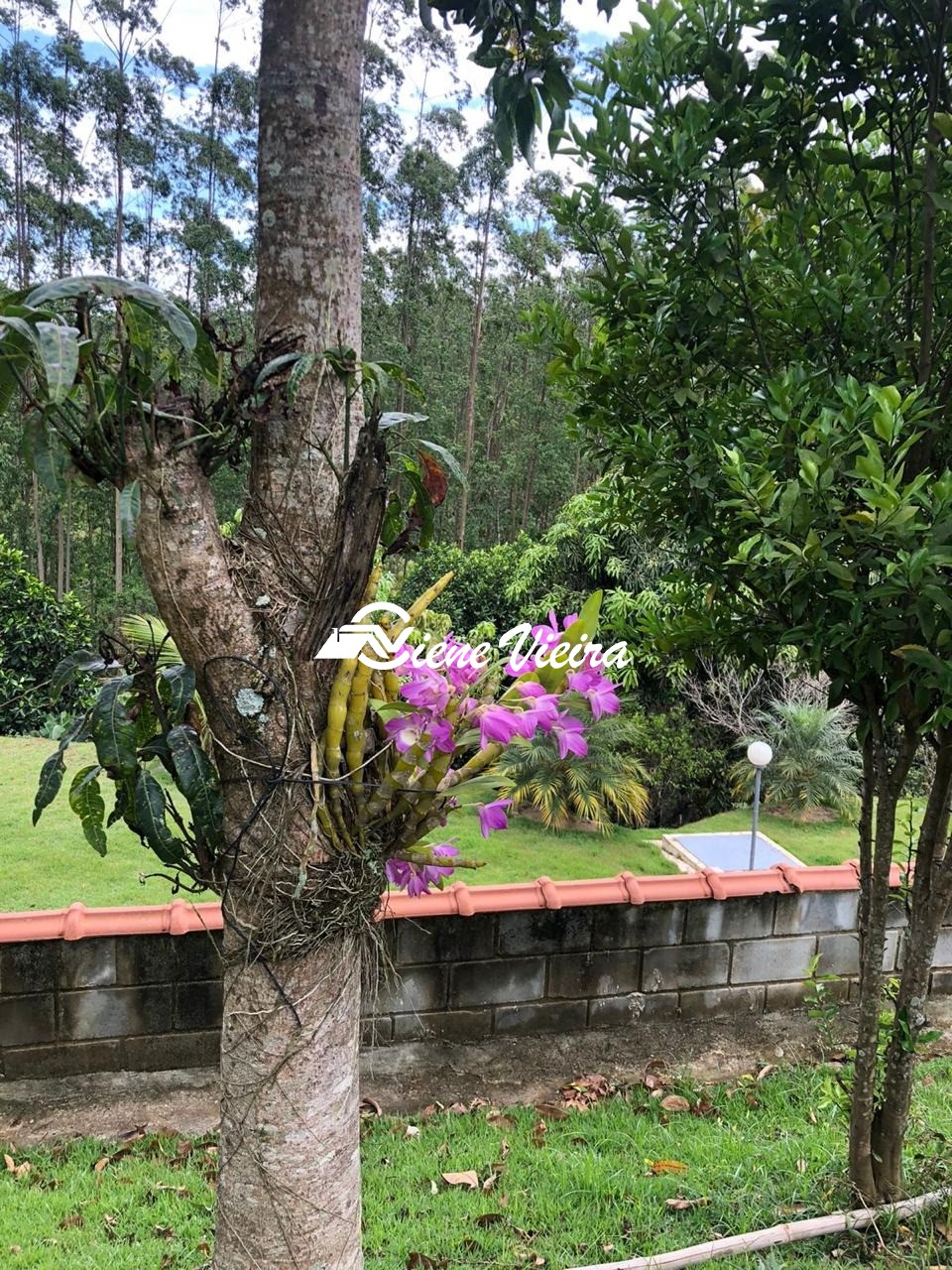 Chácara, 3 quartos, 1300 m² - Foto 10