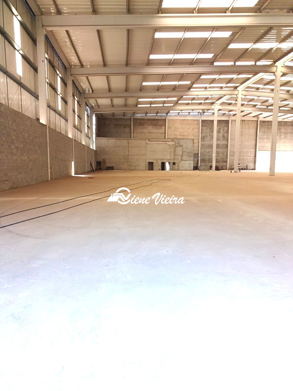 Depósito-Galpão, 5000 m² - Foto 4