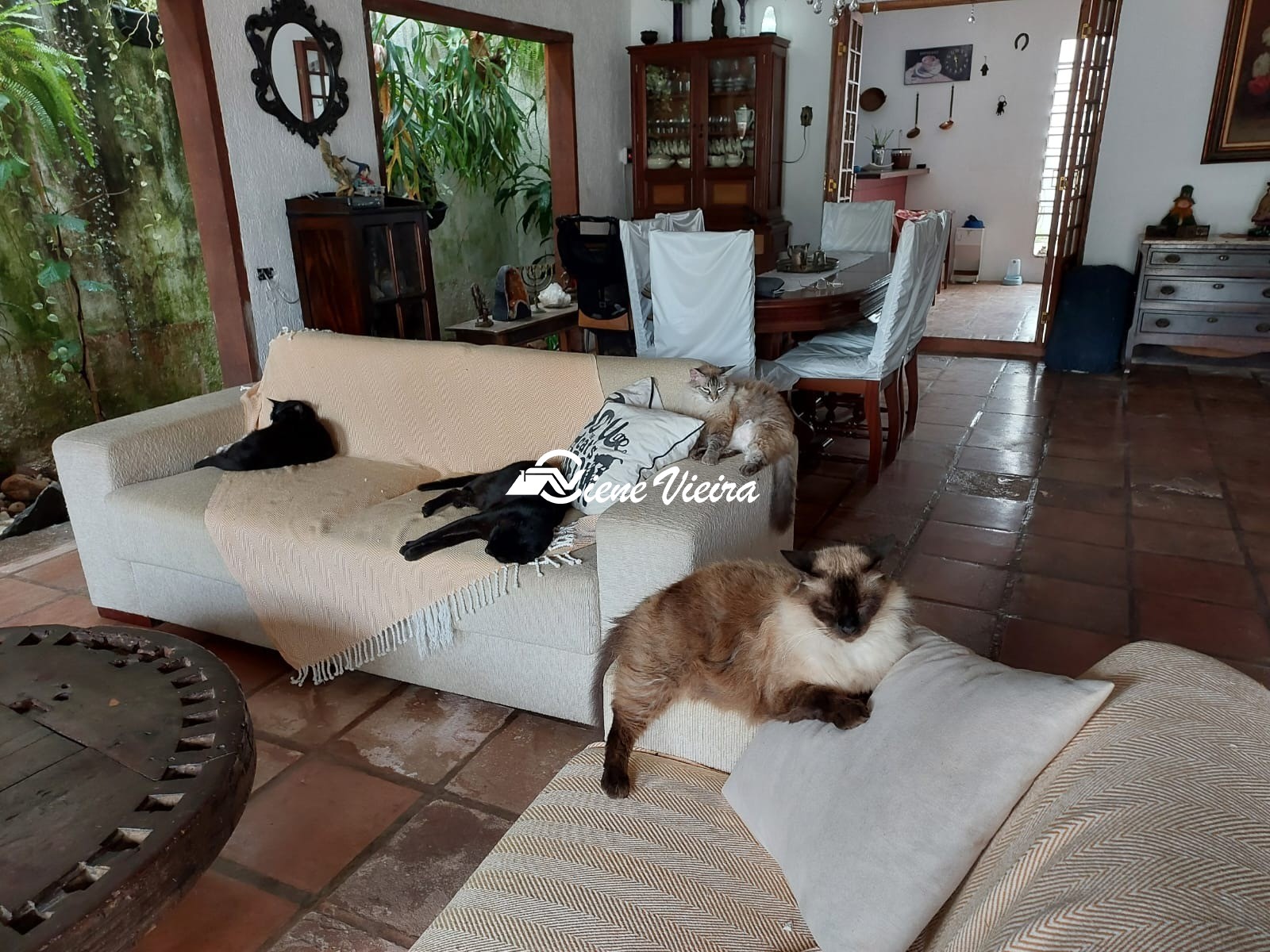 Casa, 3 quartos, 300 m² - Foto 16