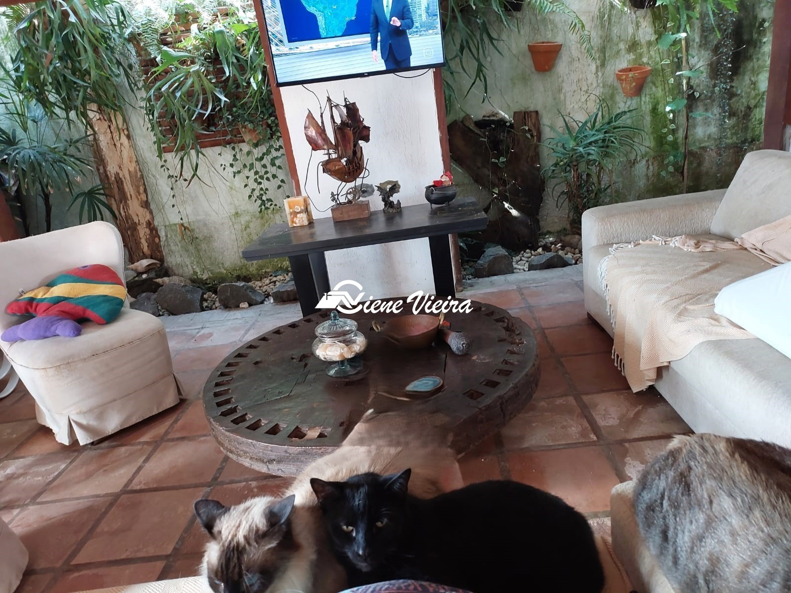 Casa, 3 quartos, 300 m² - Foto 15