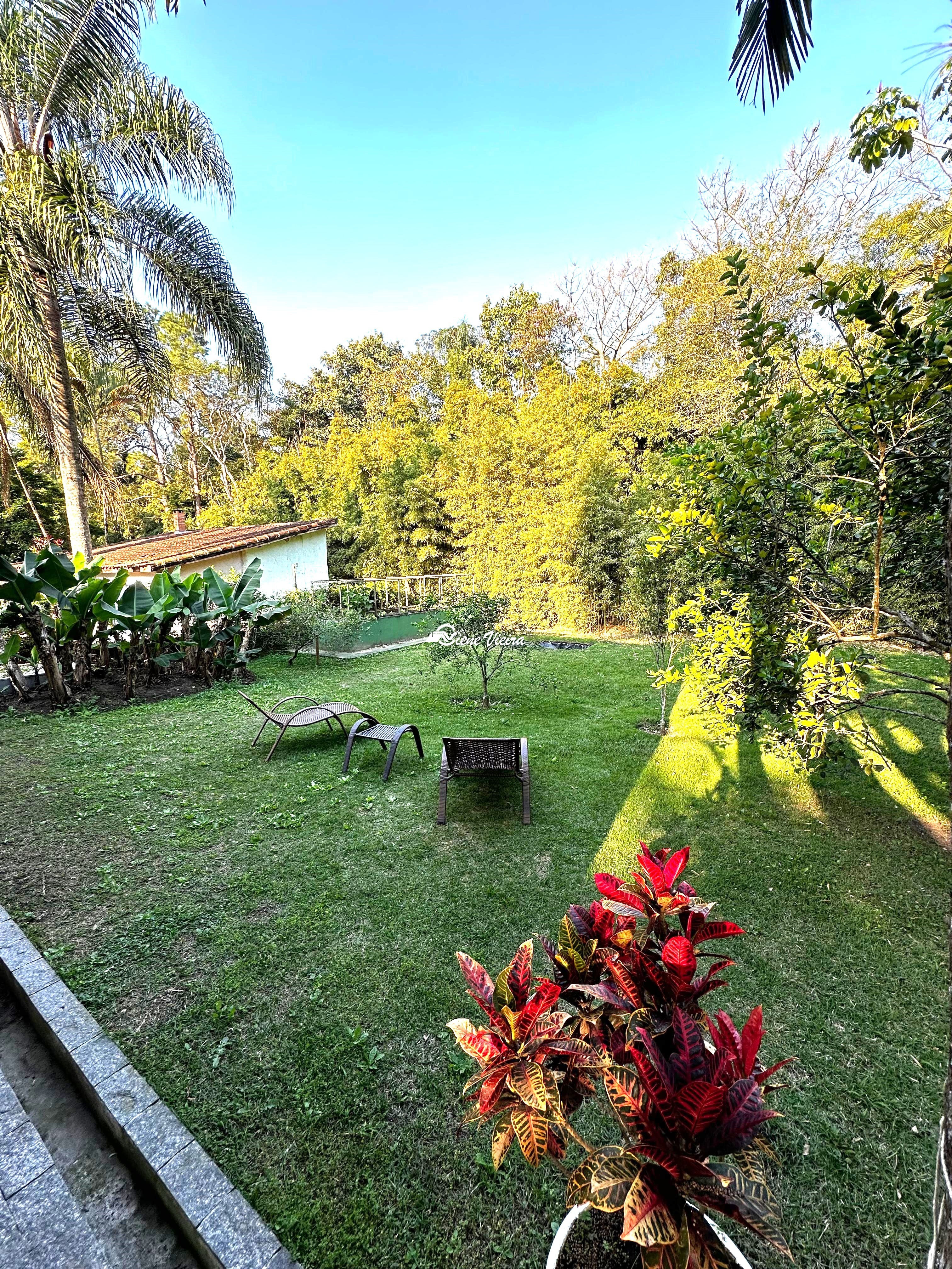 Chácara, 3 quartos, 900 m² - Foto 7