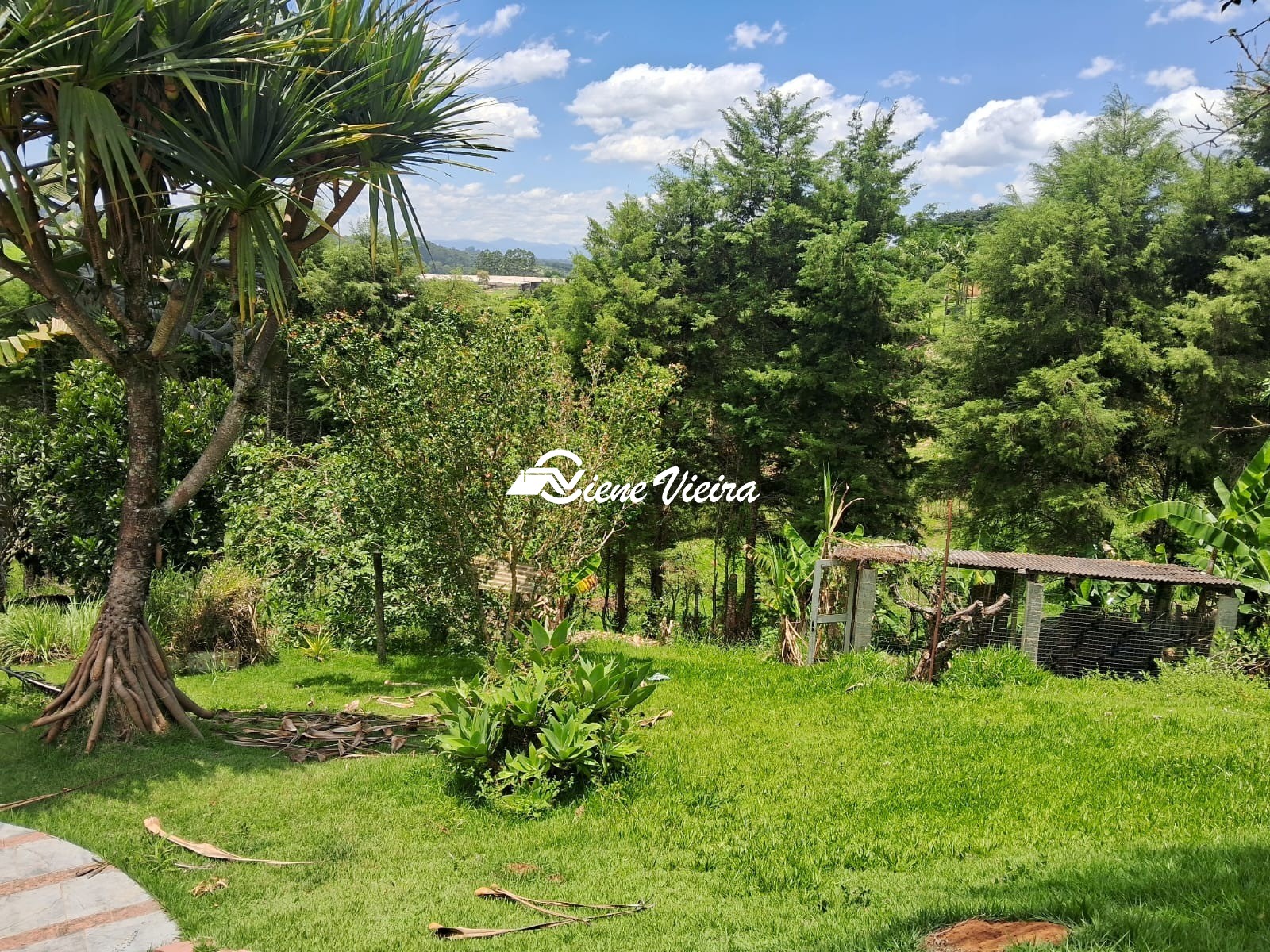 Chácara, 3 quartos, 5000 m² - Foto 17