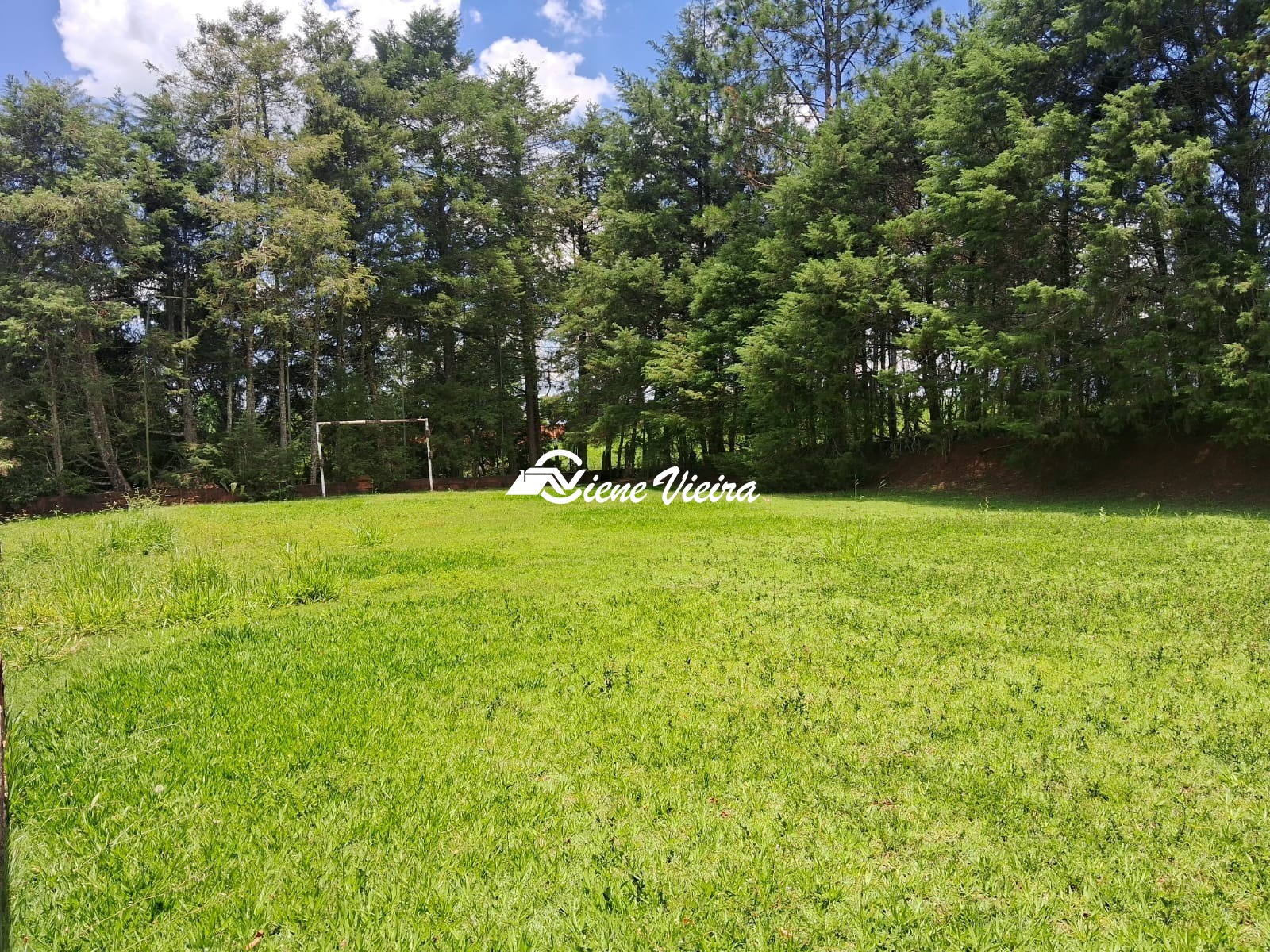 Chácara, 3 quartos, 5000 m² - Foto 18