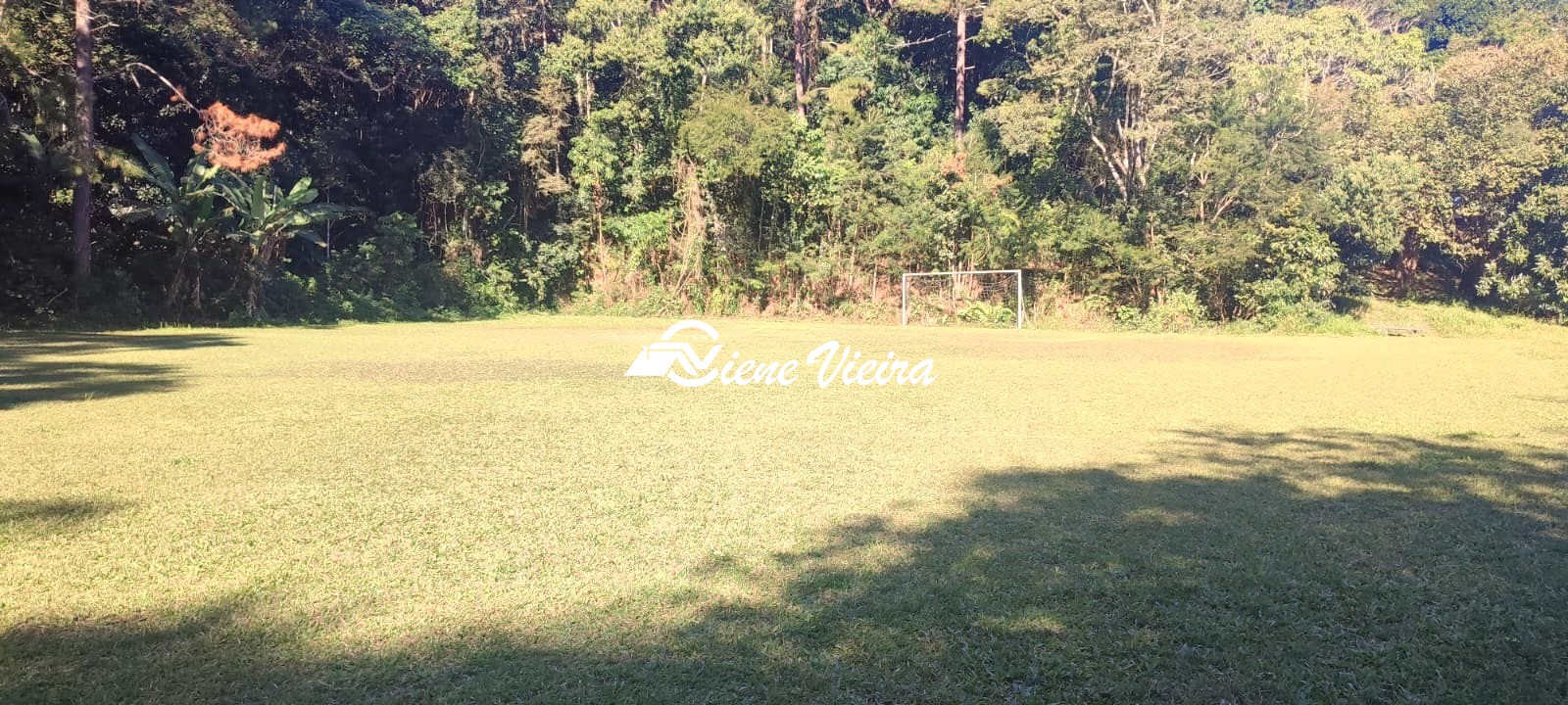 Chácara, 5 quartos, 10000 m² - Foto 10