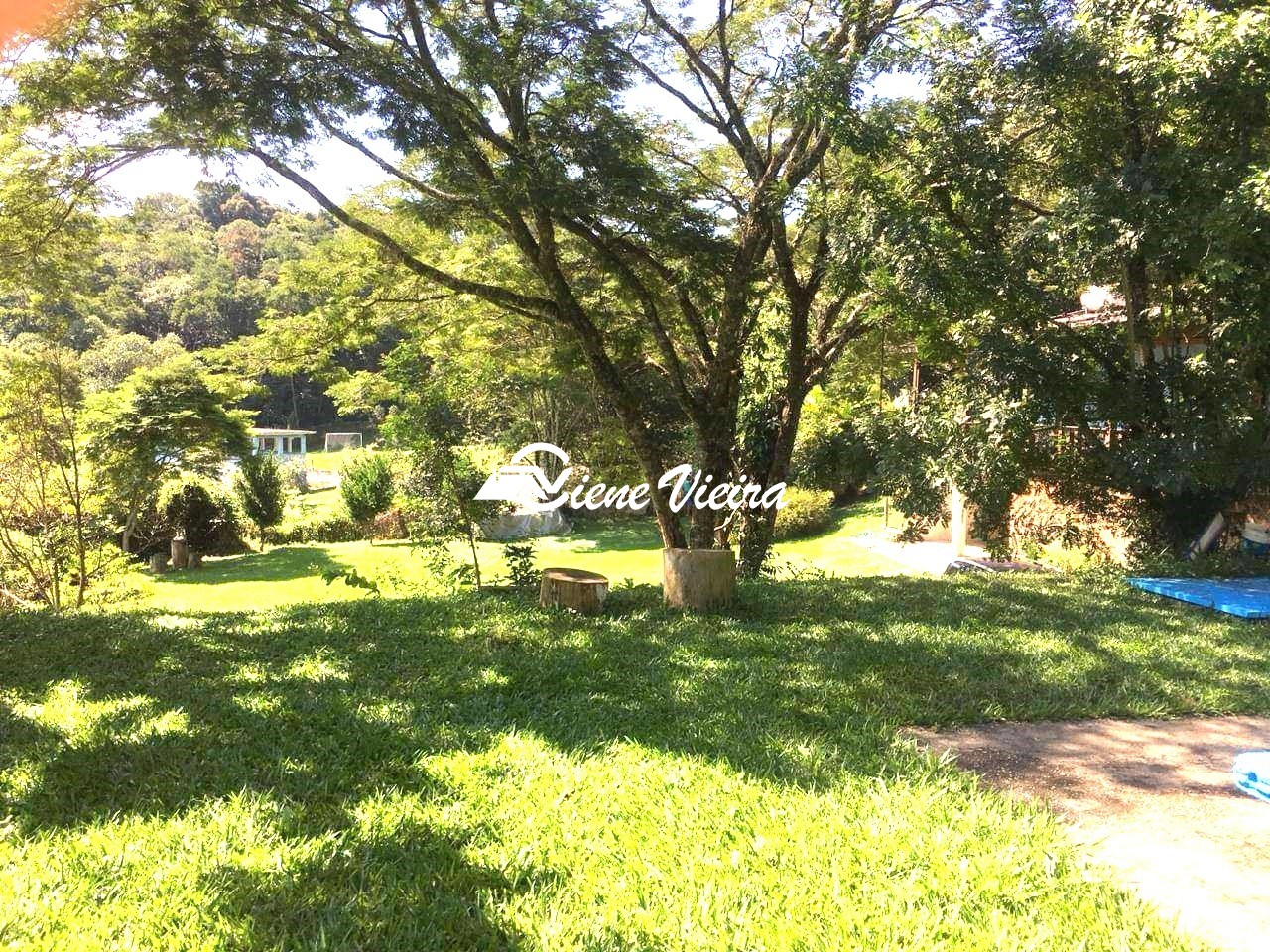 Chácara, 5 quartos, 10000 m² - Foto 11