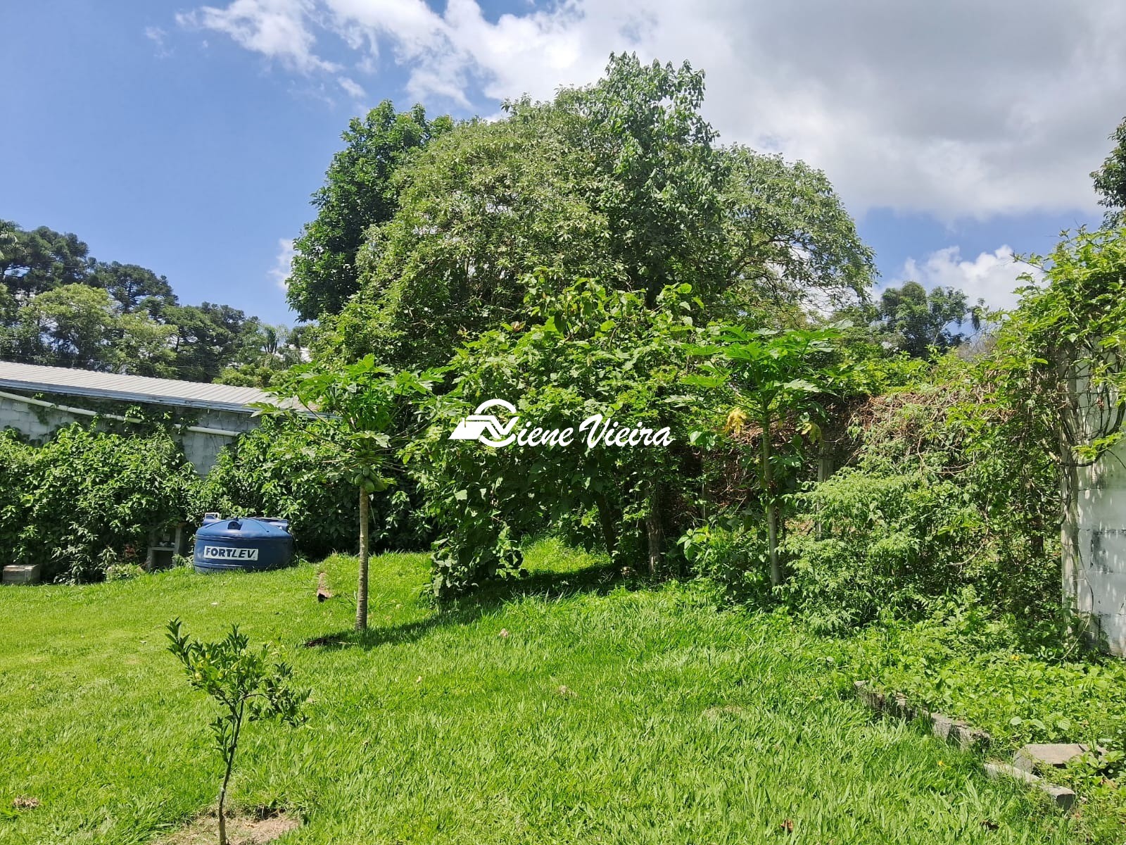 Chácara, 2 quartos, 2600 m² - Foto 12