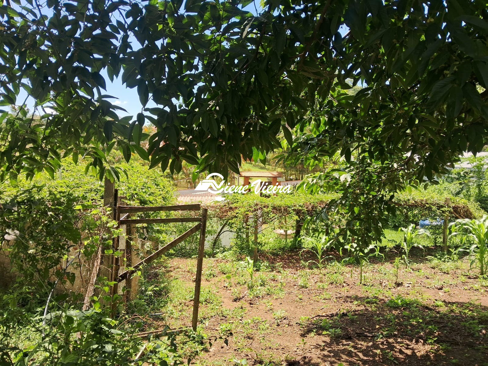 Chácara, 2 quartos, 2600 m² - Foto 20