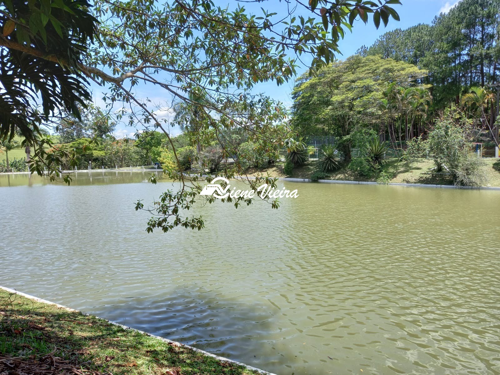 Chácara, 3 quartos, 760 m² - Foto 46