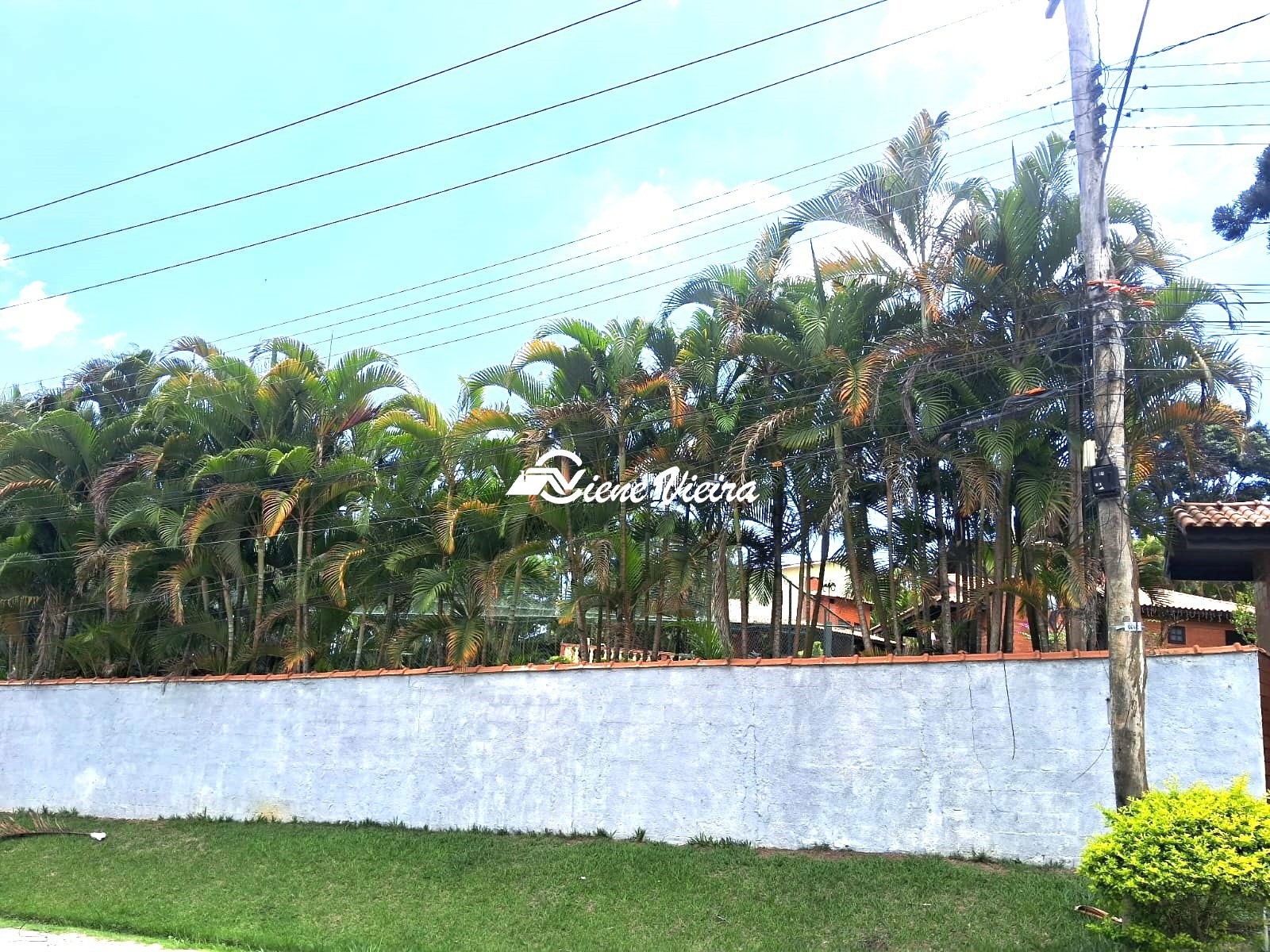 Chácara, 3 quartos, 2175 m² - Foto 39