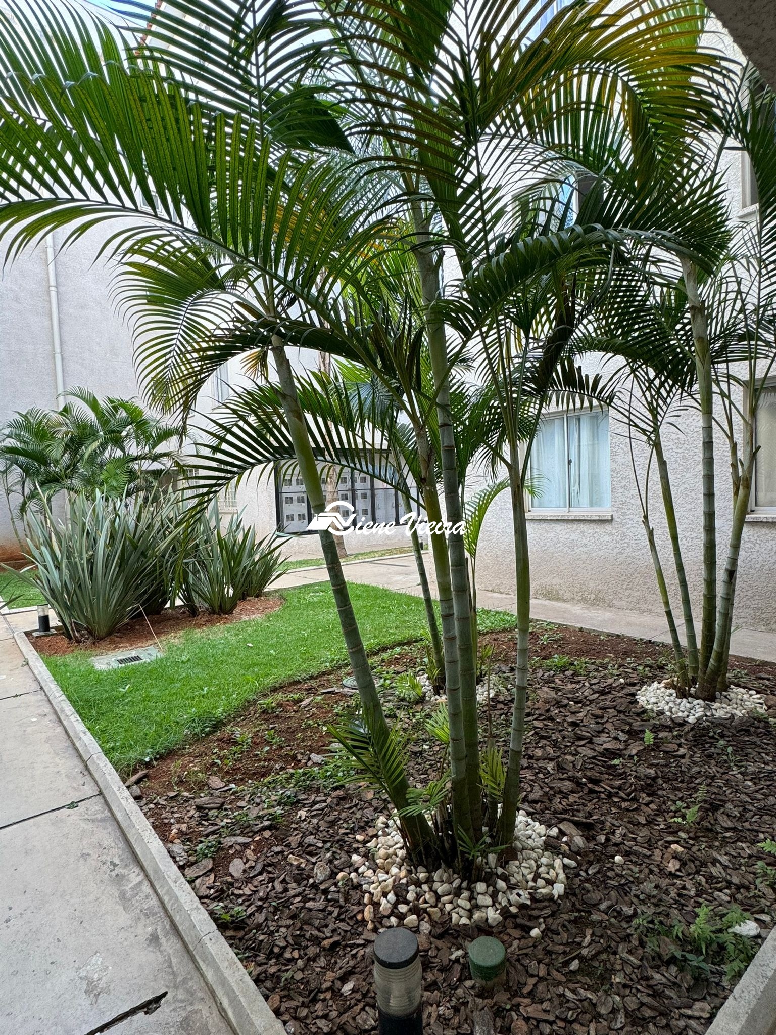 Apartamento, 2 quartos, 42 m² - Foto 4