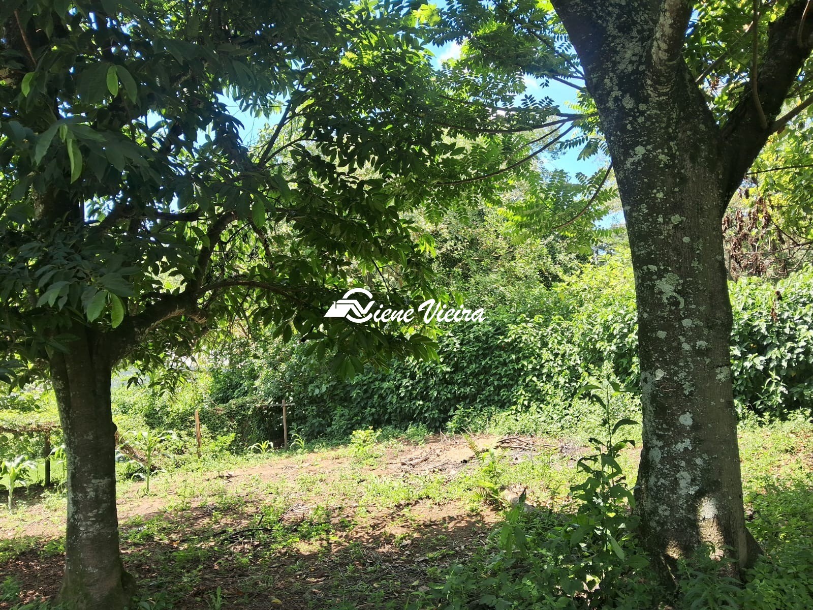 Chácara, 2 quartos, 2600 m² - Foto 14