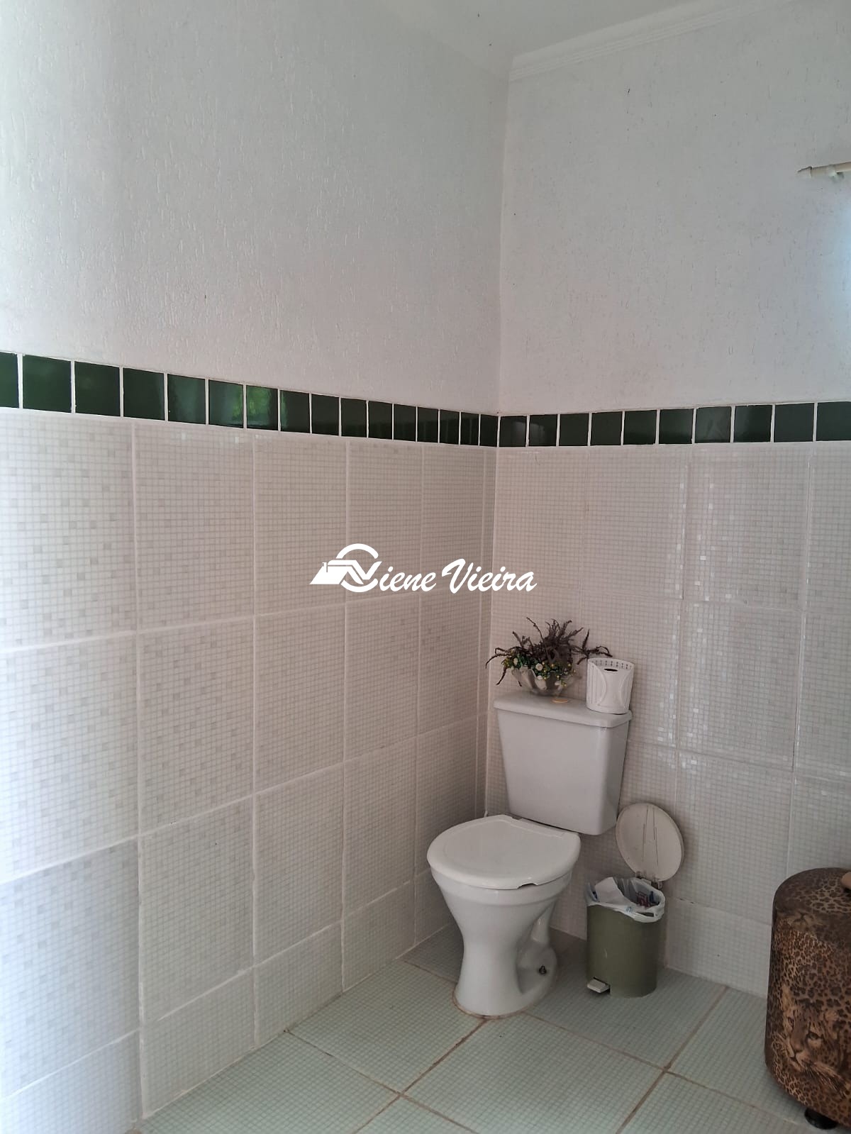 Chácara, 4 quartos, 1000 m² - Foto 13