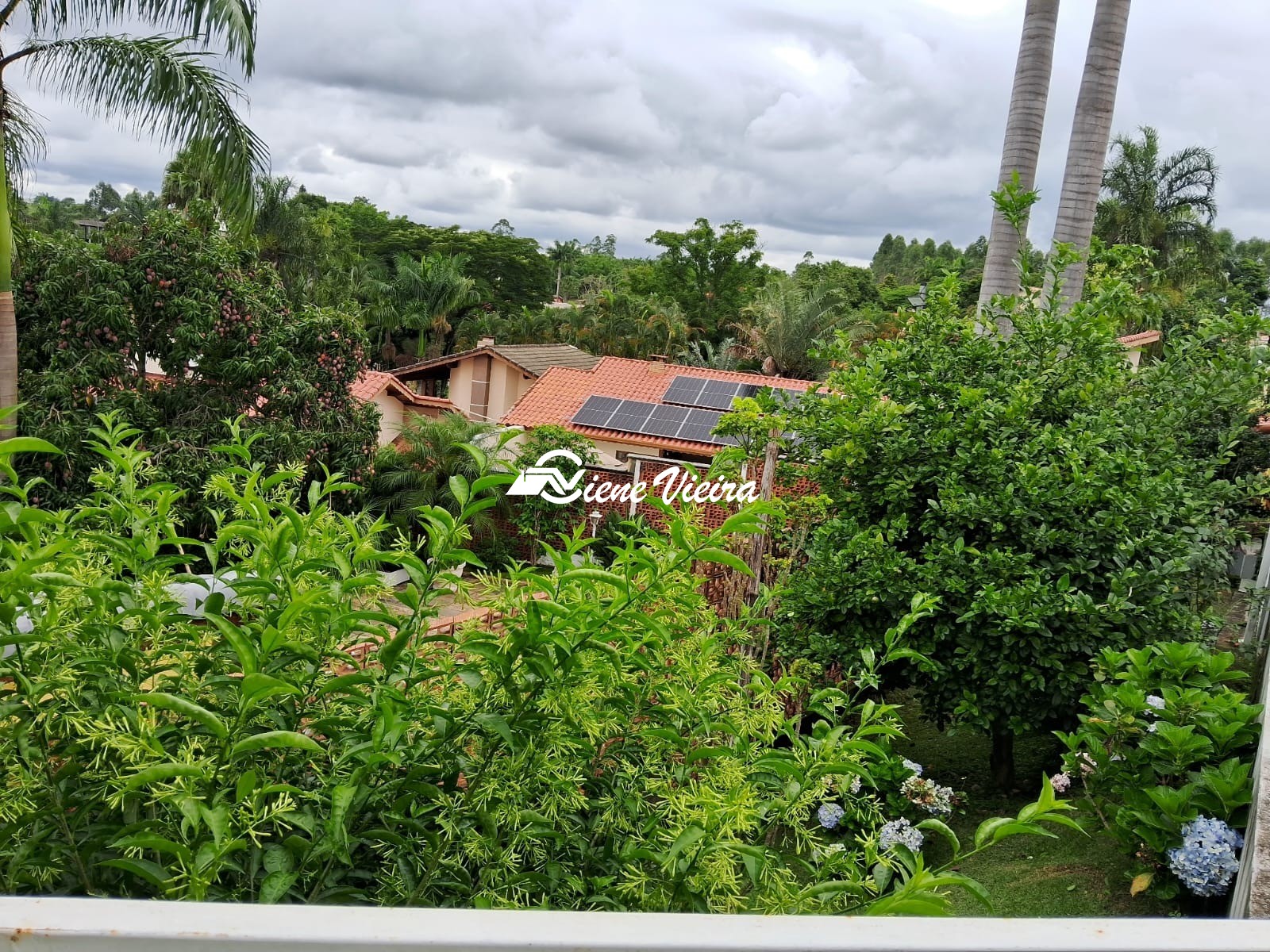 Chácara, 3 quartos, 840 m² - Foto 13