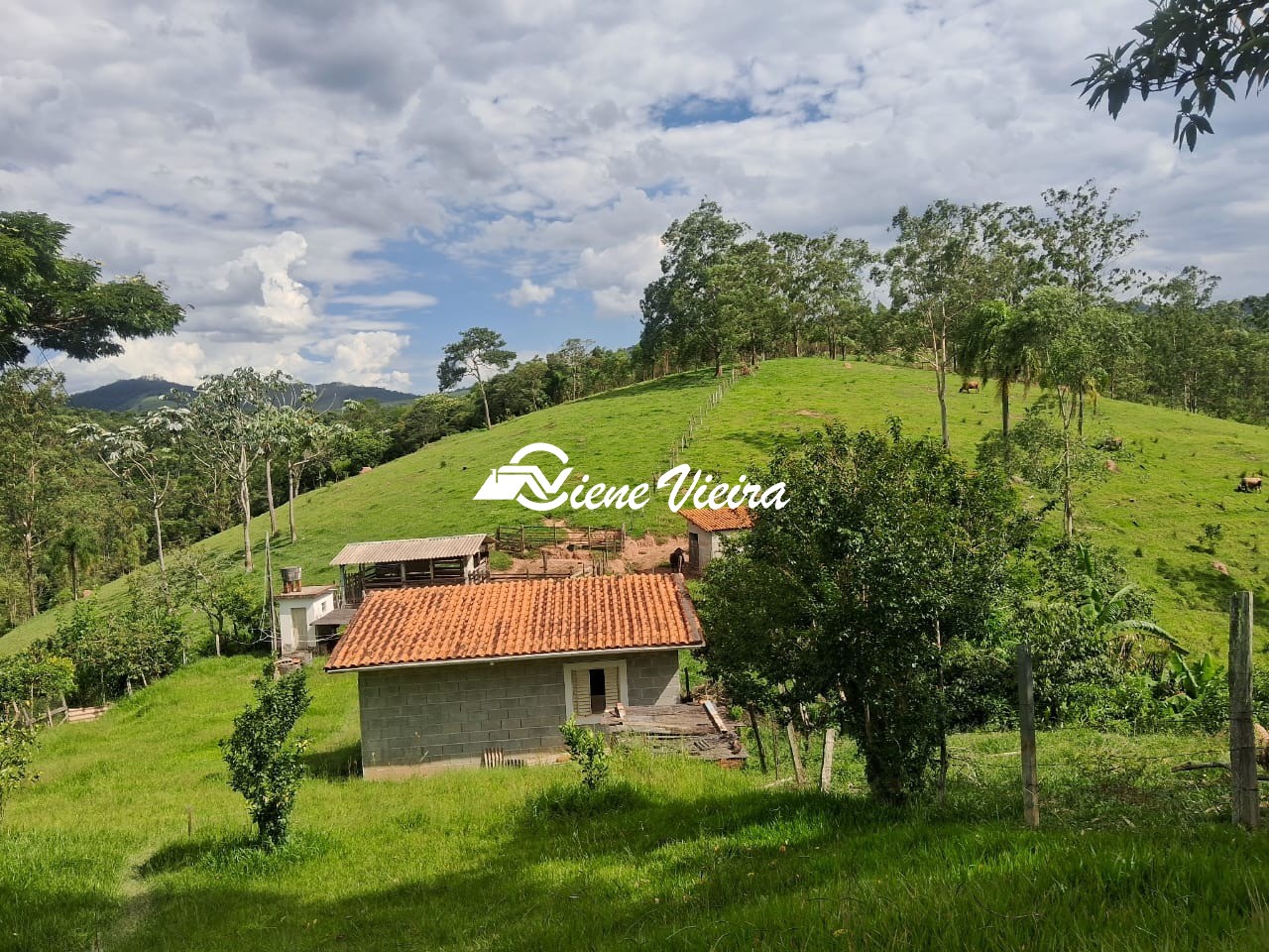 Sítio, 2 quartos, 6 hectares - Foto 6