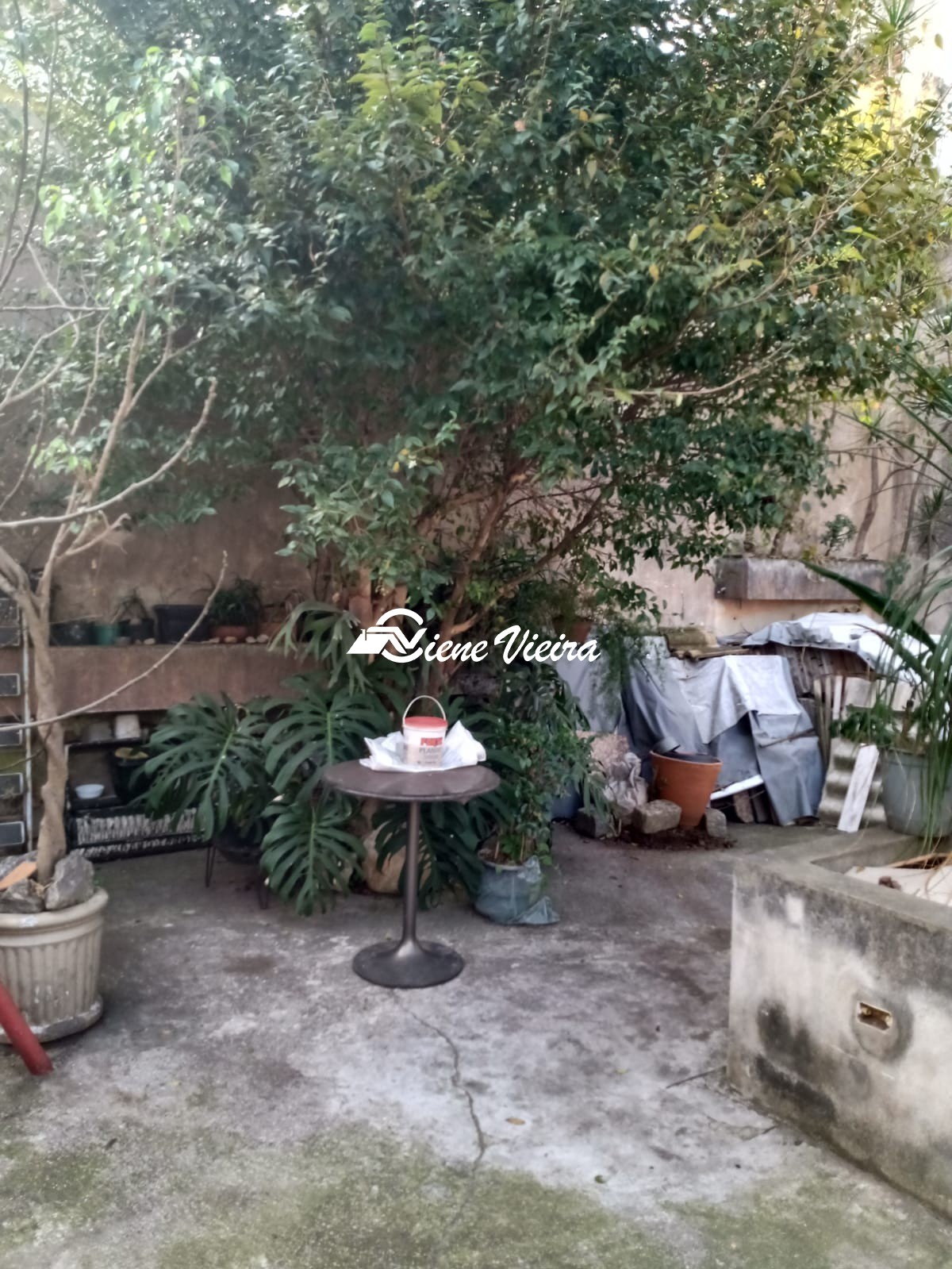 Casa, 4 quartos, 680 m² - Foto 31