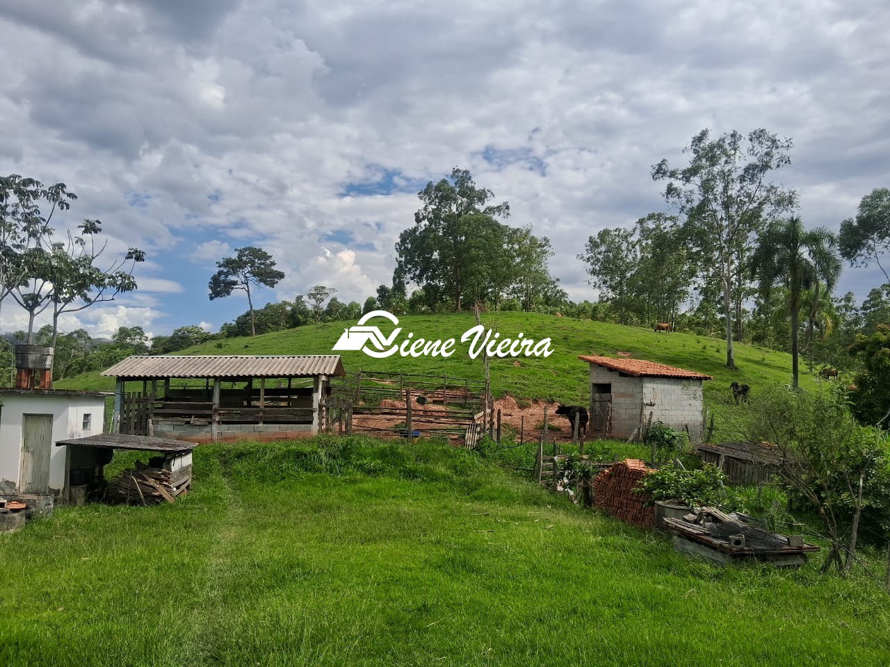 Sítio, 2 quartos, 6 hectares - Foto 4