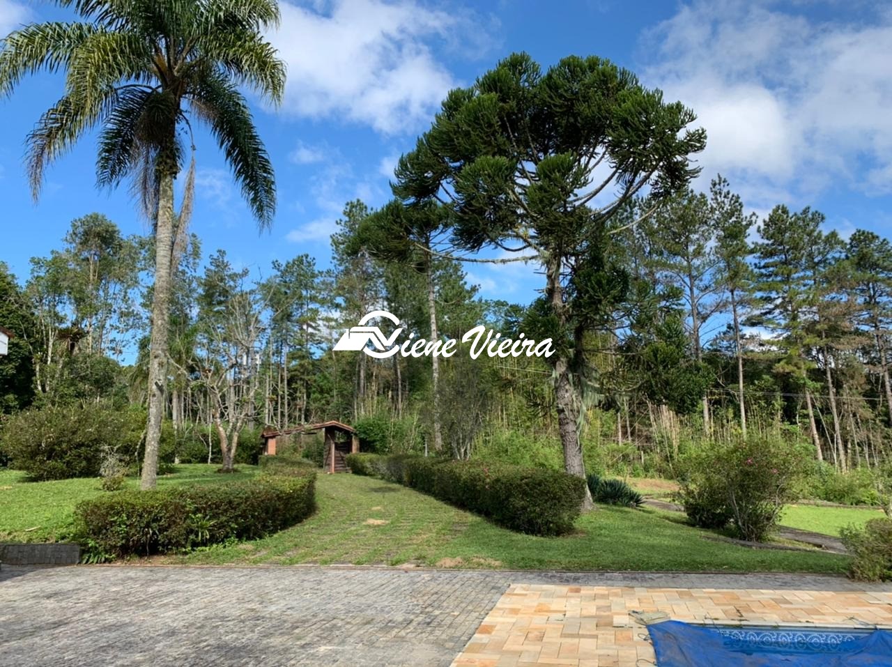 Chácara, 4 quartos, 4 hectares - Foto 13