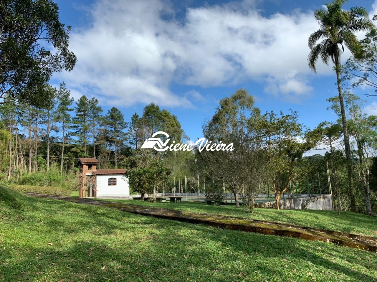 Chácara, 4 quartos, 4 hectares - Foto 9