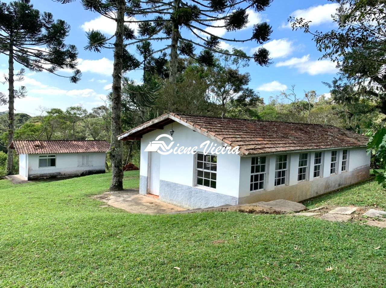 Chácara, 4 quartos, 4 hectares - Foto 4