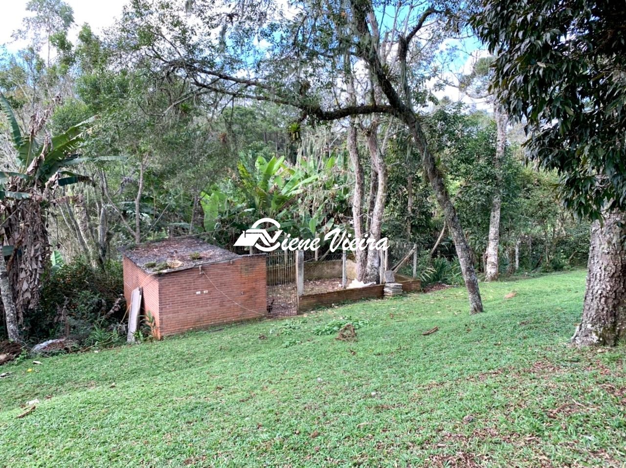 Chácara, 4 quartos, 4 hectares - Foto 7