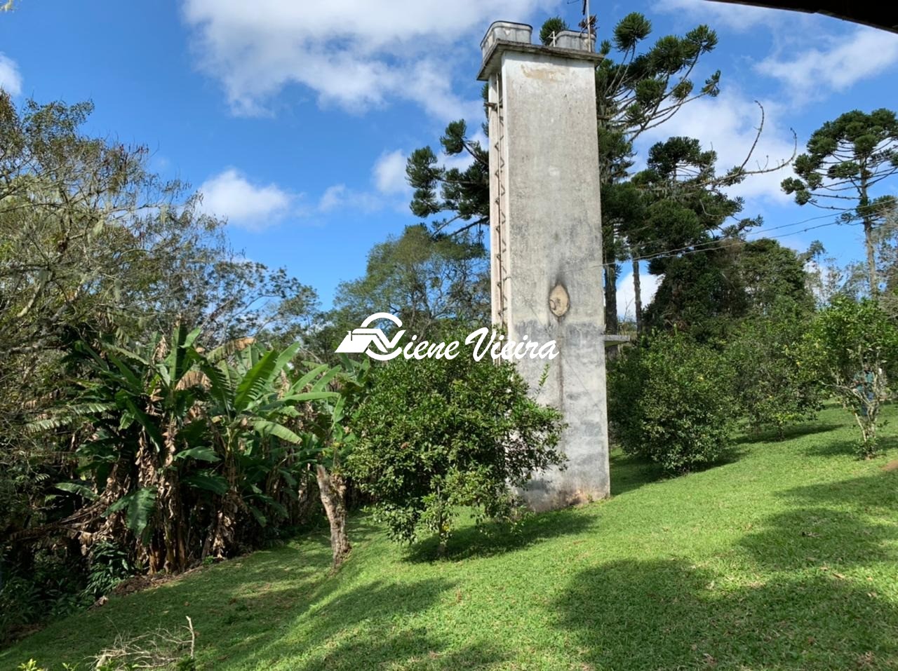 Chácara, 4 quartos, 4 hectares - Foto 10