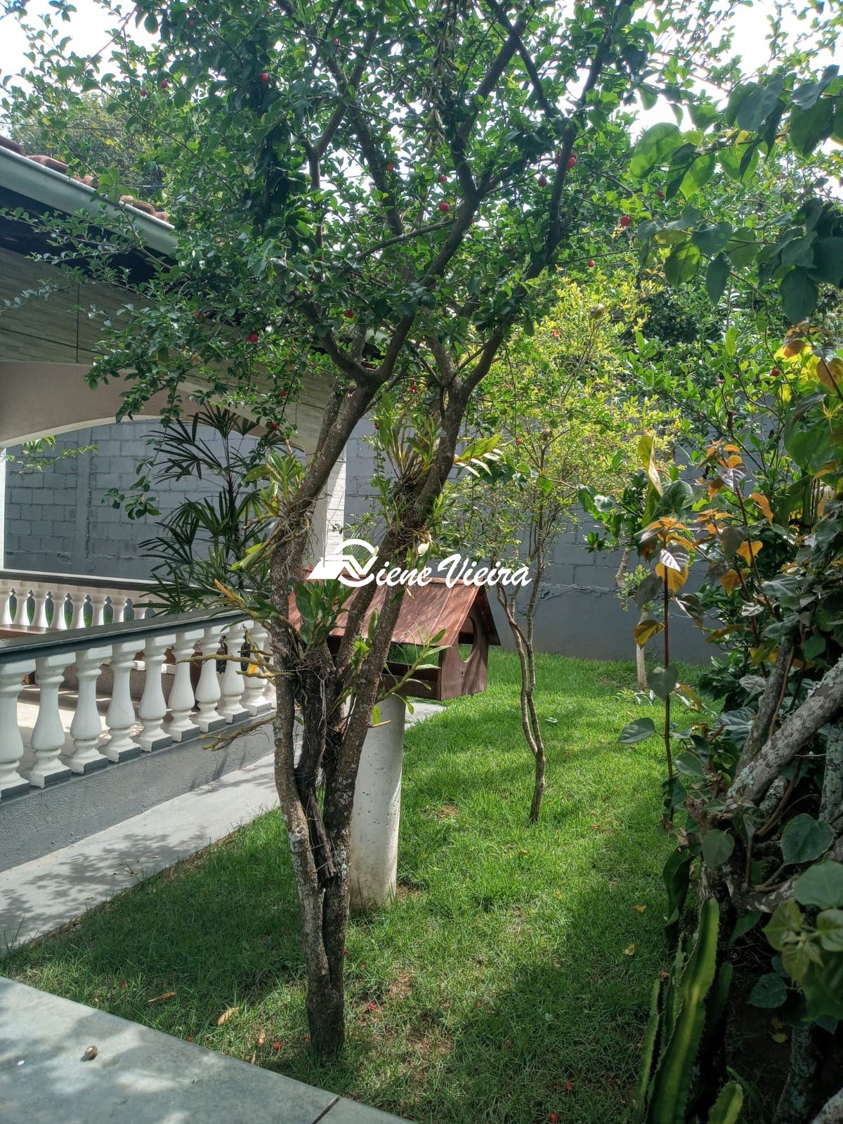Chácara, 3 quartos, 800 m² - Foto 15