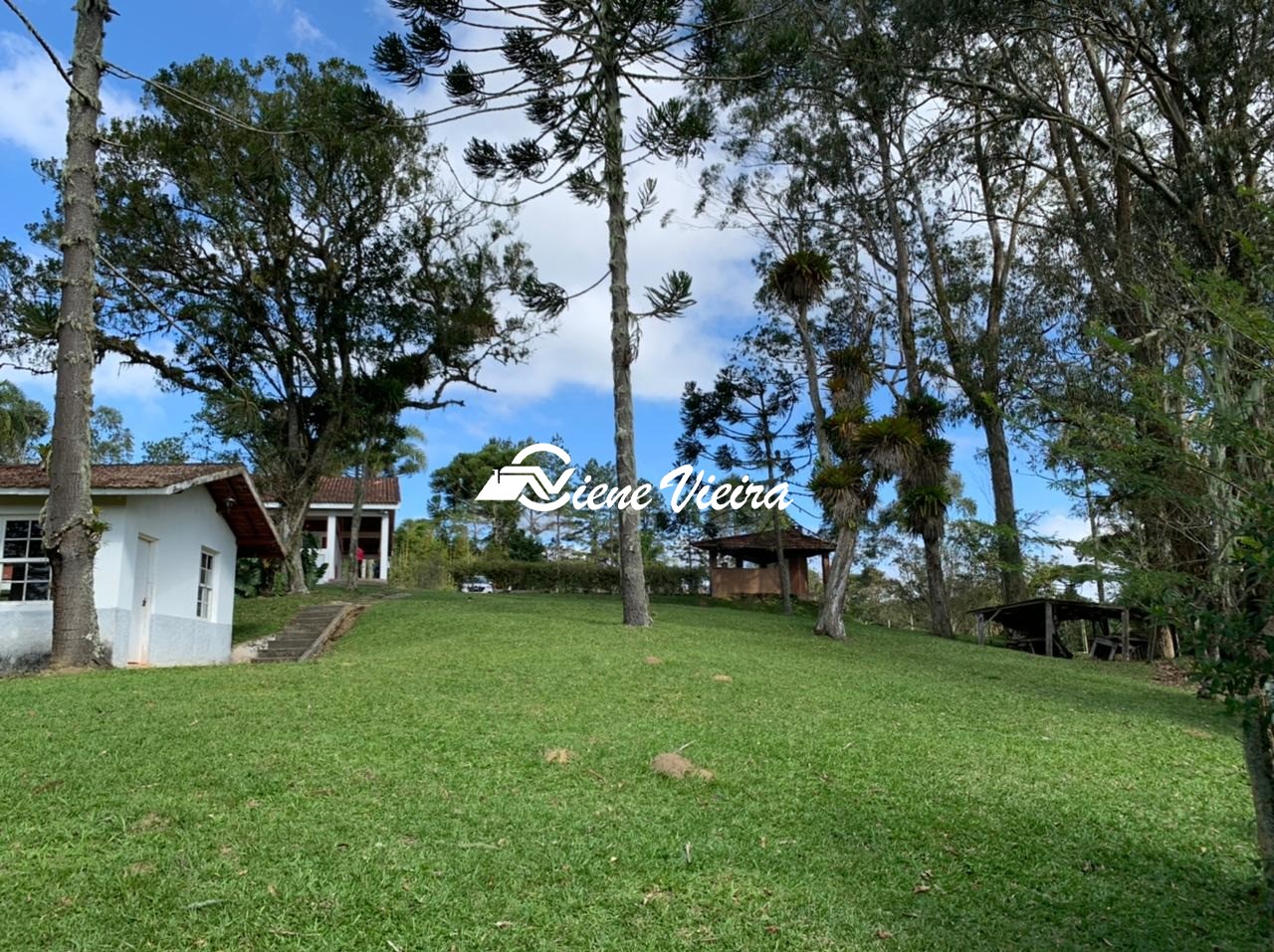 Chácara, 4 quartos, 4 hectares - Foto 14